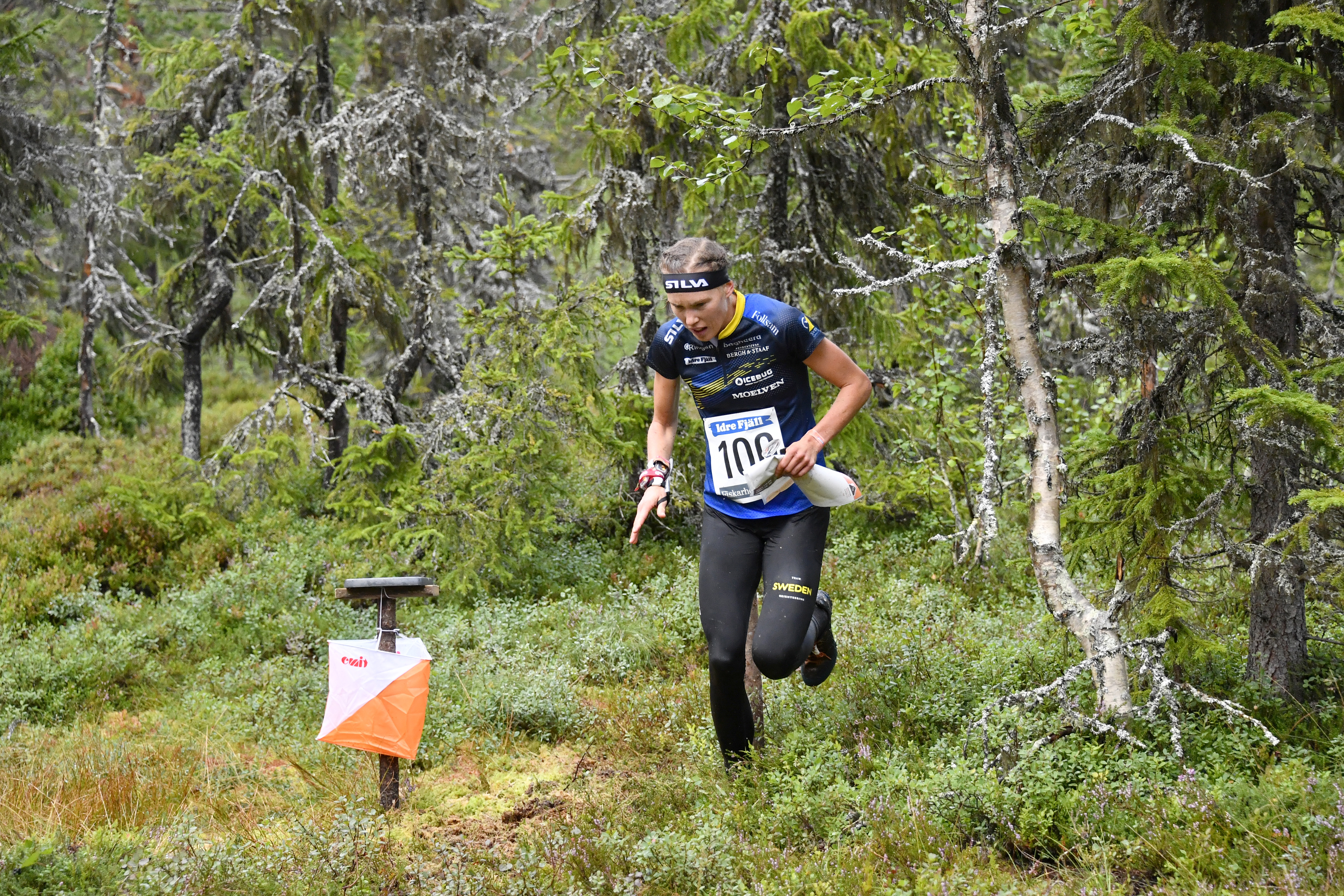 Stjärnan Tove Alexandersson är en som kan få springa orienterings-VM i Örnsköldsvik. Arkivbild. Foto: Nisse Schmidt/TT