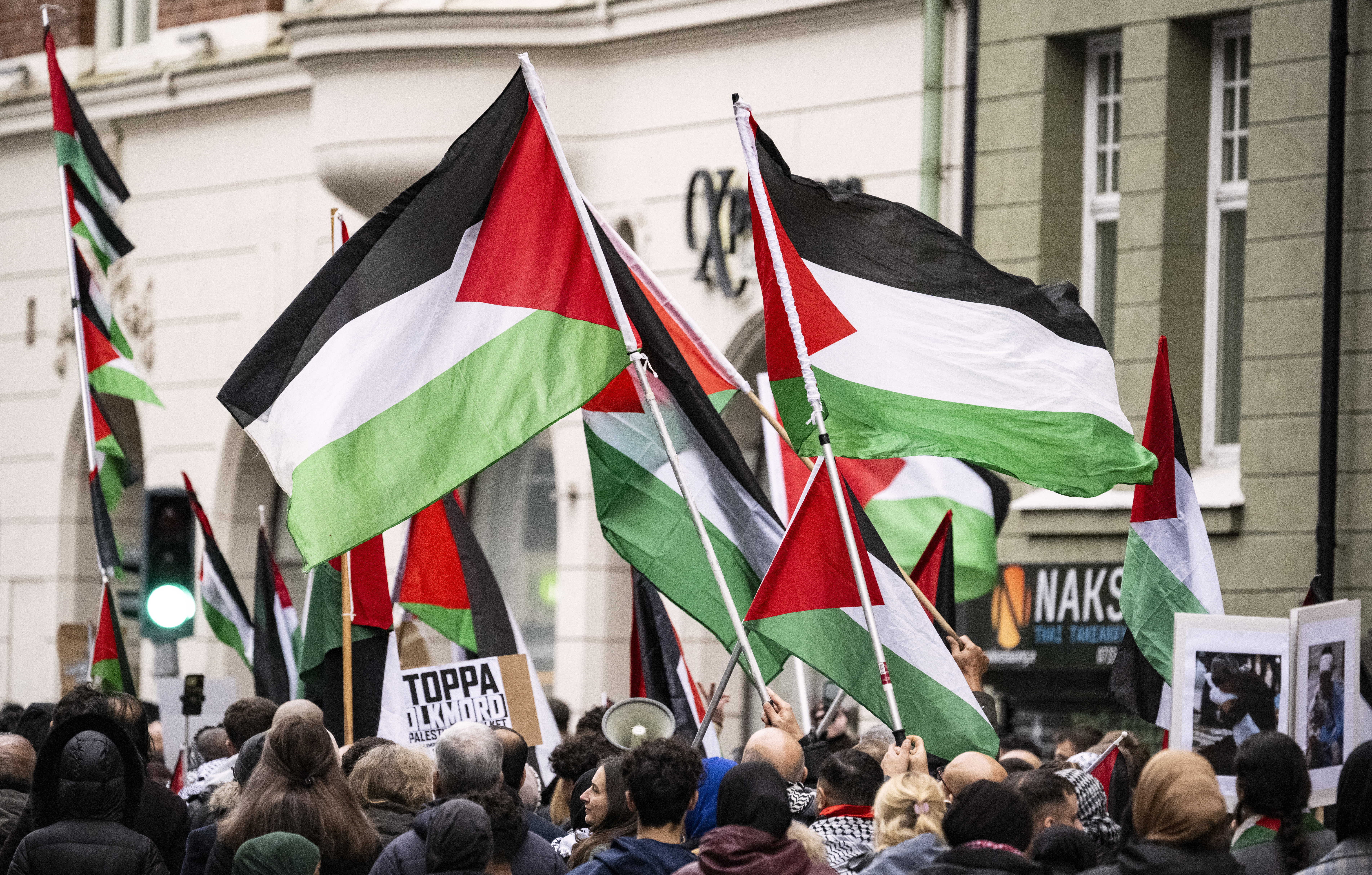 Palestinska flaggor vid en demonstration i Malmö. Arkivbild. Foto: Johan Nilsson/TT