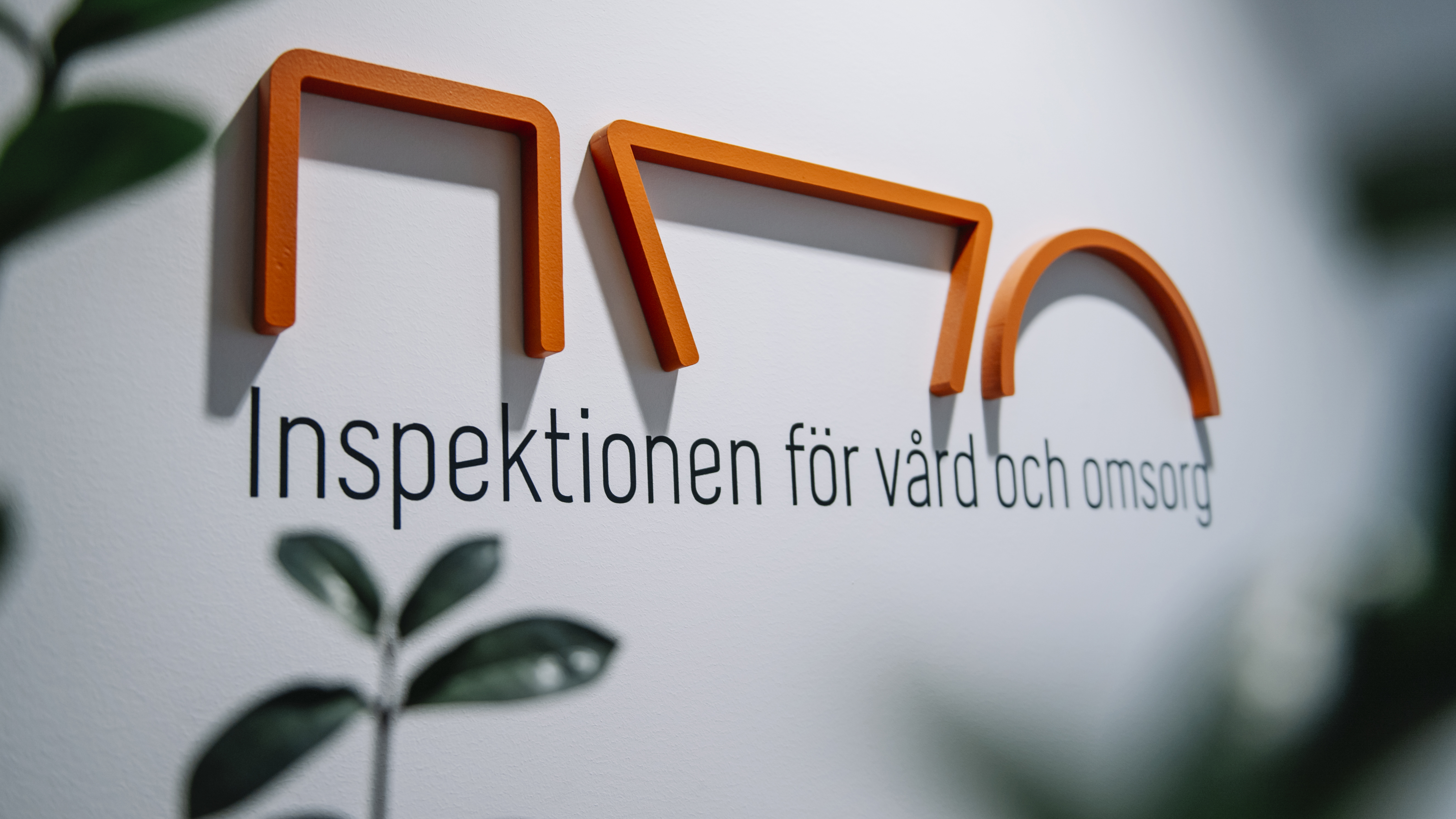 Alingsås kommunen har lex Sarah- och lex Maria-anmält sig själv efter ett "allvarligt missförhållande". Arkivbild. Foto: Stina Stjernkvist/TT