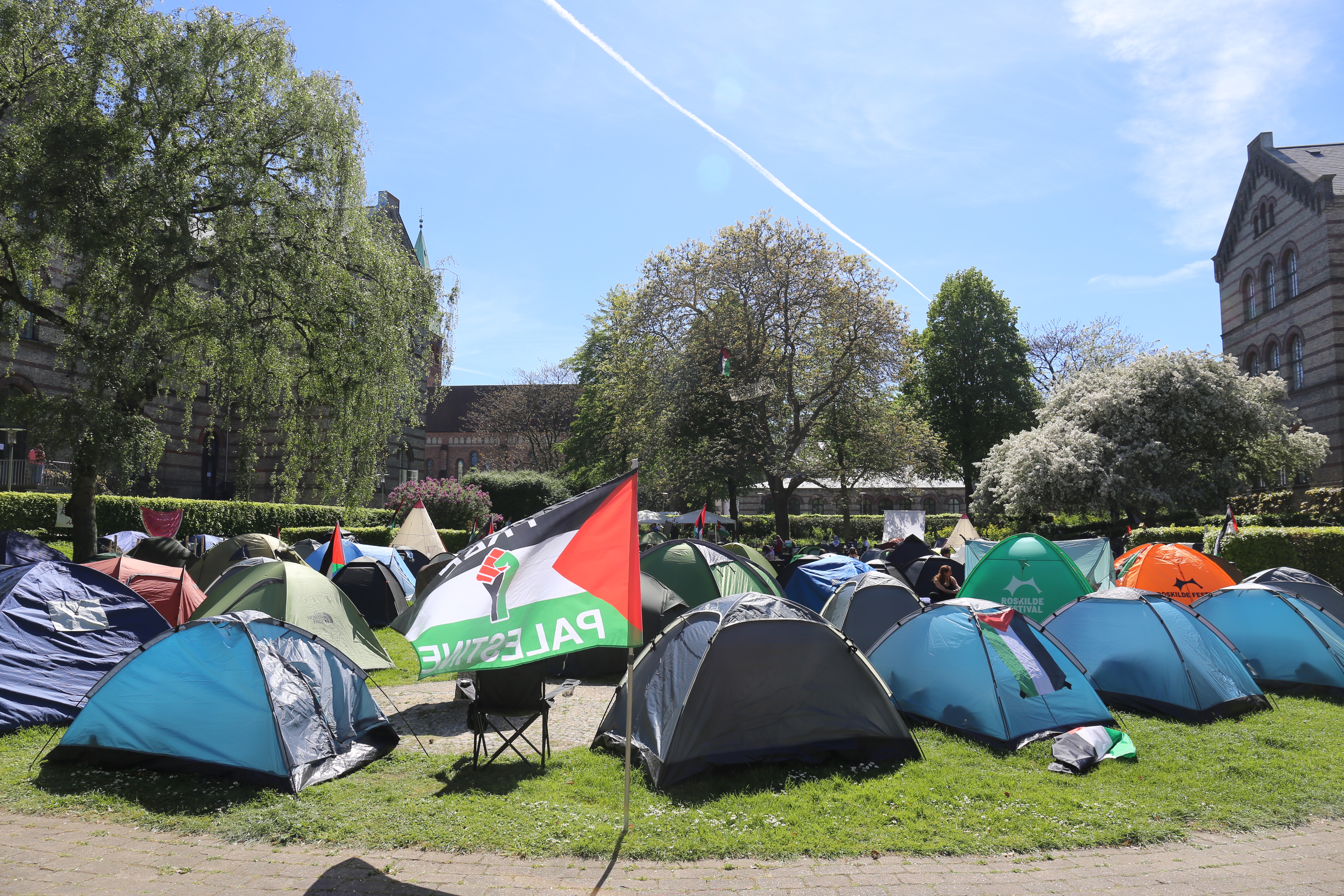 Studenter vid Köpenhamns universitet har tältat i protest mot kriget i Gaza sedan 6 maj. Arkivbild. Foto: Cornelia Mikaelsson/TT