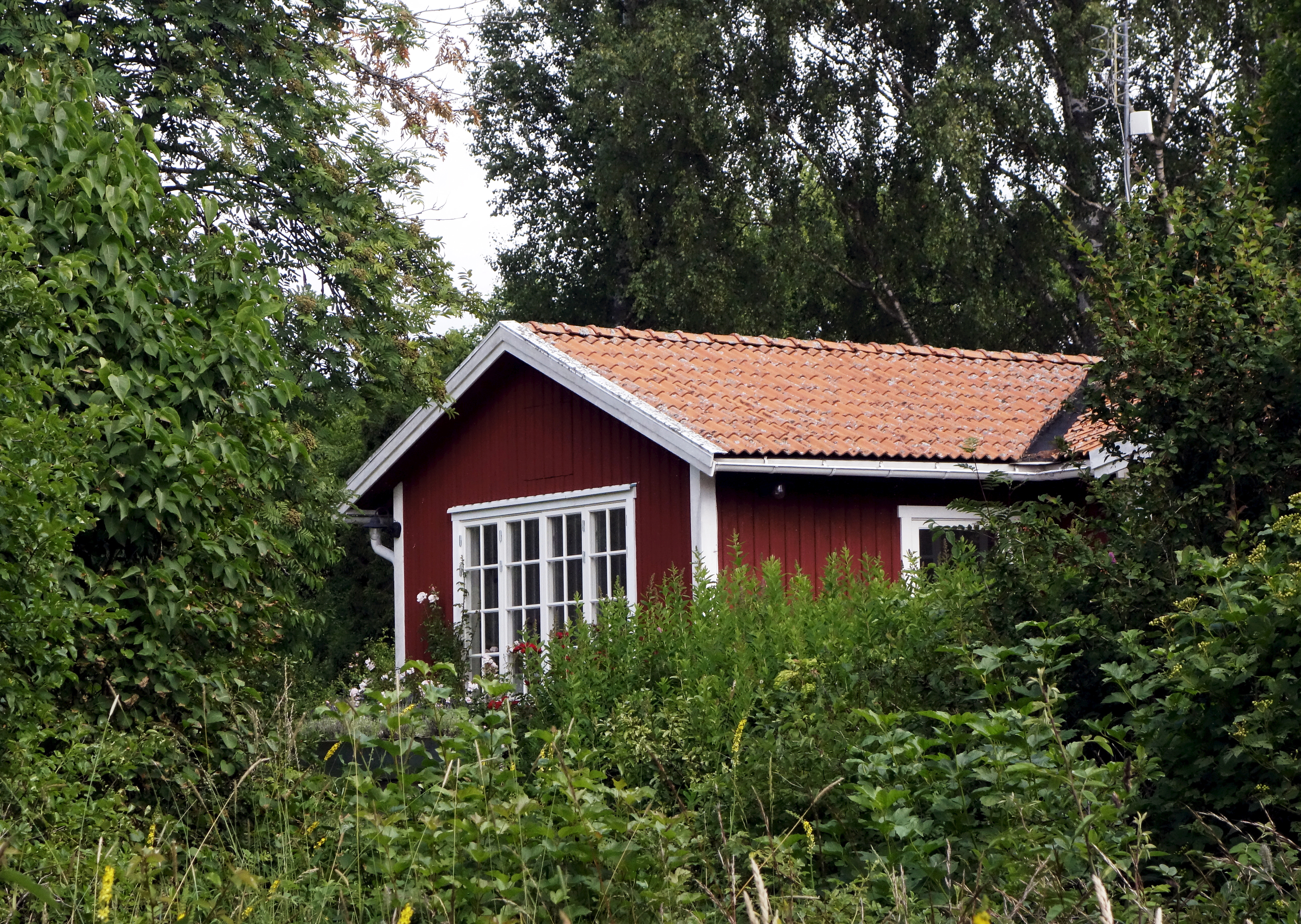 Svensk mäklarstatistik har undersökt var de billigaste fritidshusen finns i landet. Arkivbild. Foto: Hasse Holmberg/TT