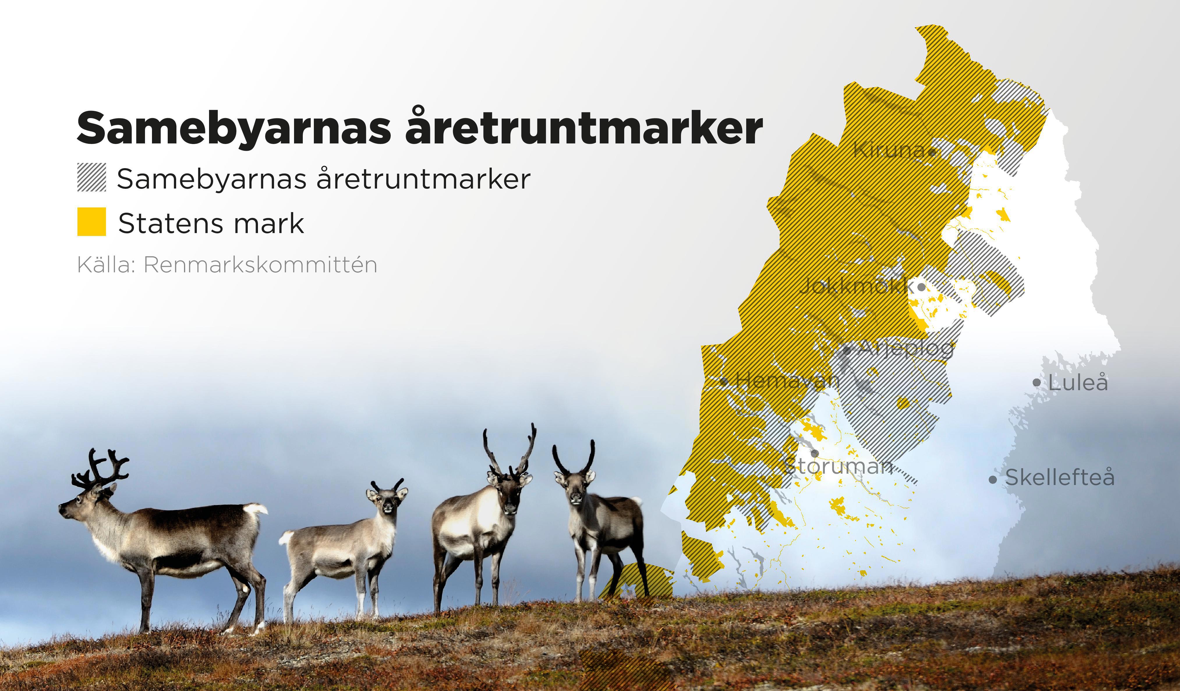 Samebyarnas åretruntmarker och statlig mark. Foto: Johan Hallnäs/TT