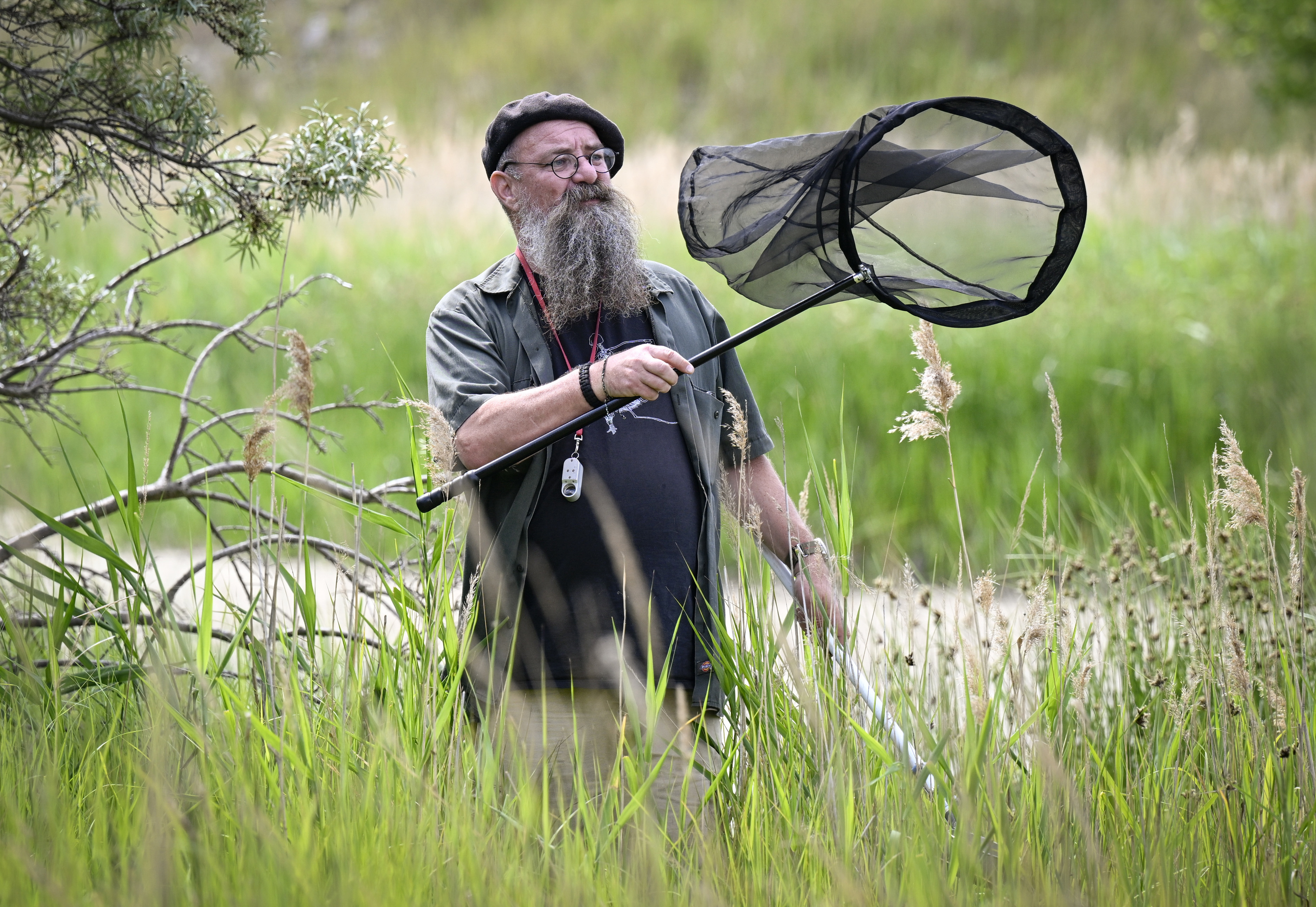 Myggforskaren Anders Lindström från Statens veterinärmedicinska anstalt är Sveriges främste myggexpert. Han avfärdar metoden att odla växter för att hålla myggen borta. Arkivbild. Foto: Johan Nilsson/TT