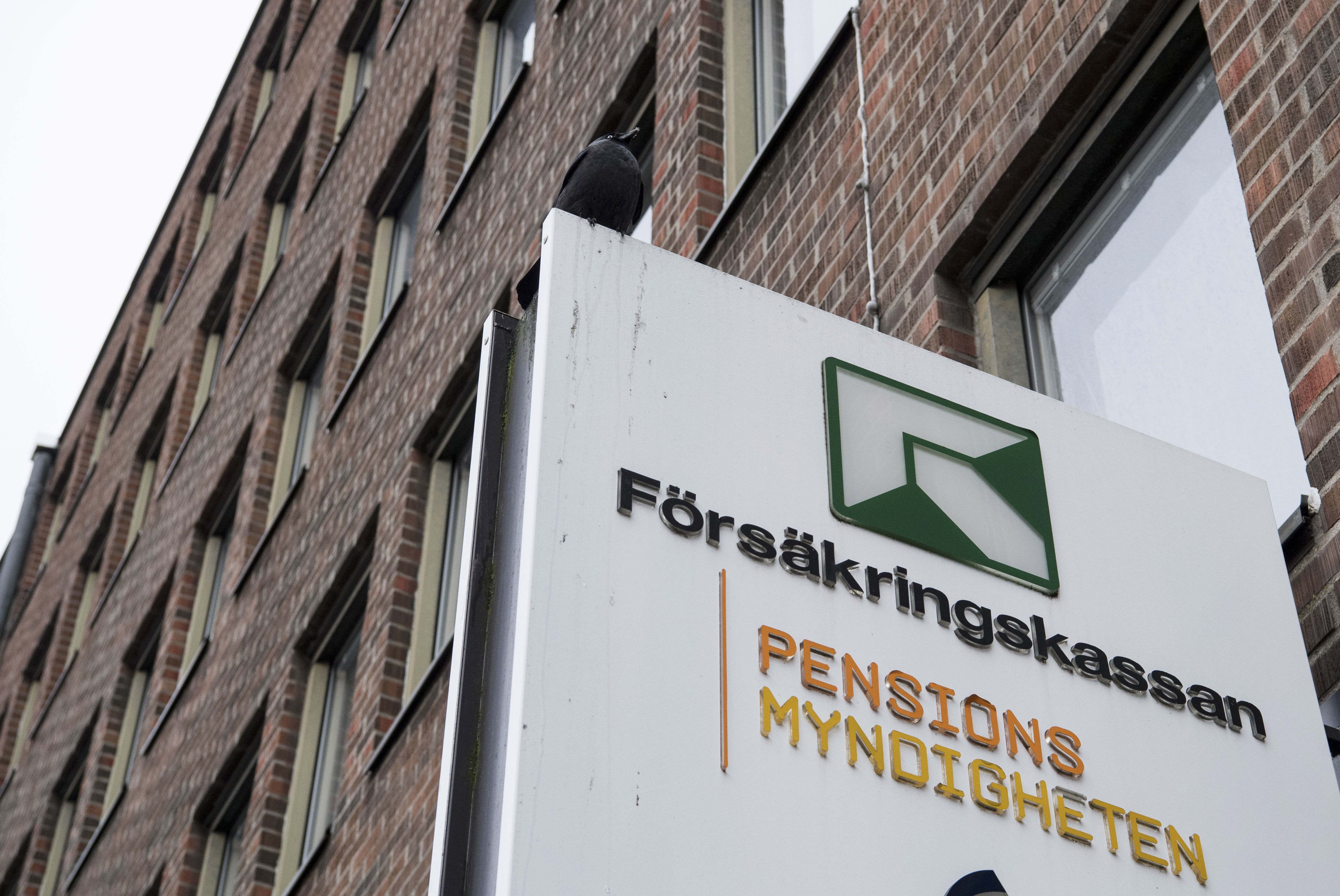 Regeringen tillsätter en ny utredning som ska undersöka hur myndigheter kan stoppa mer fusk. Arkivbild. Foto: Johan Nilsson/TT