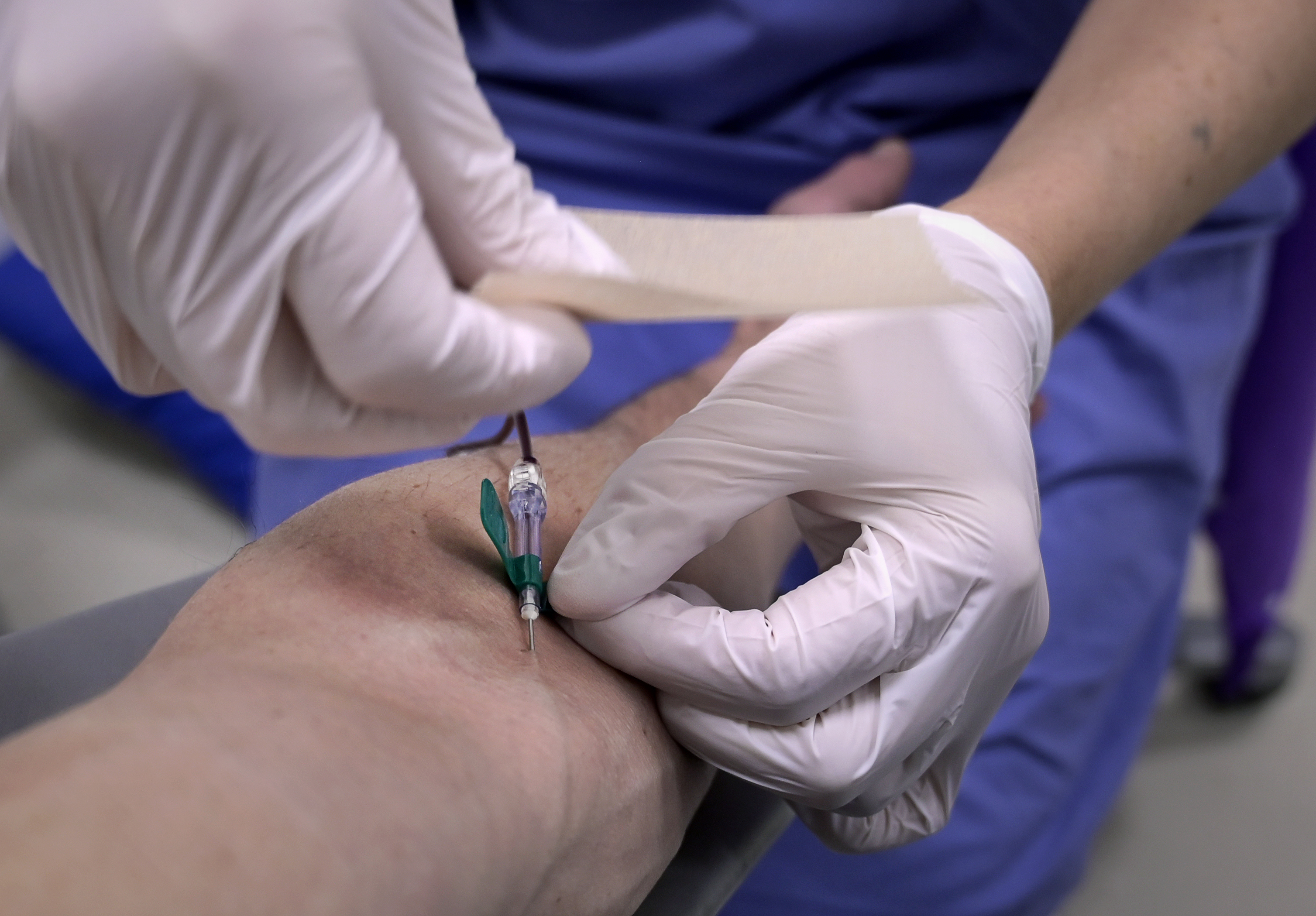 Fler personer testas för fågelinfluensa efter uppmaning från den europeiska folkhälsomyndigheten. Arkivbild. Foto: Janerik Henriksson/TT