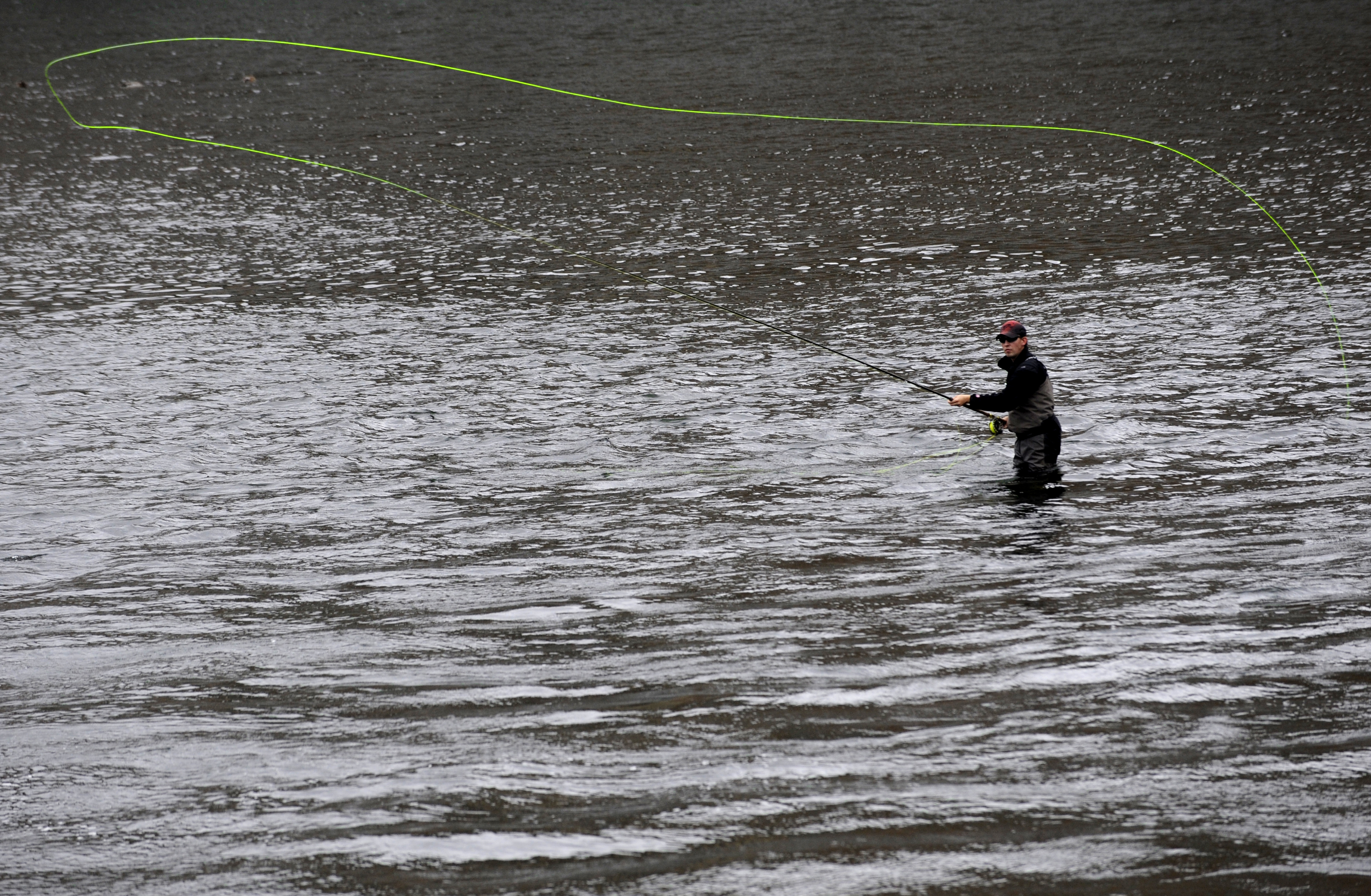 Det blir inget laxfiske i södra Norge efter midsommardagen. Arkivbild. Foto: Leif R Jansson/TT