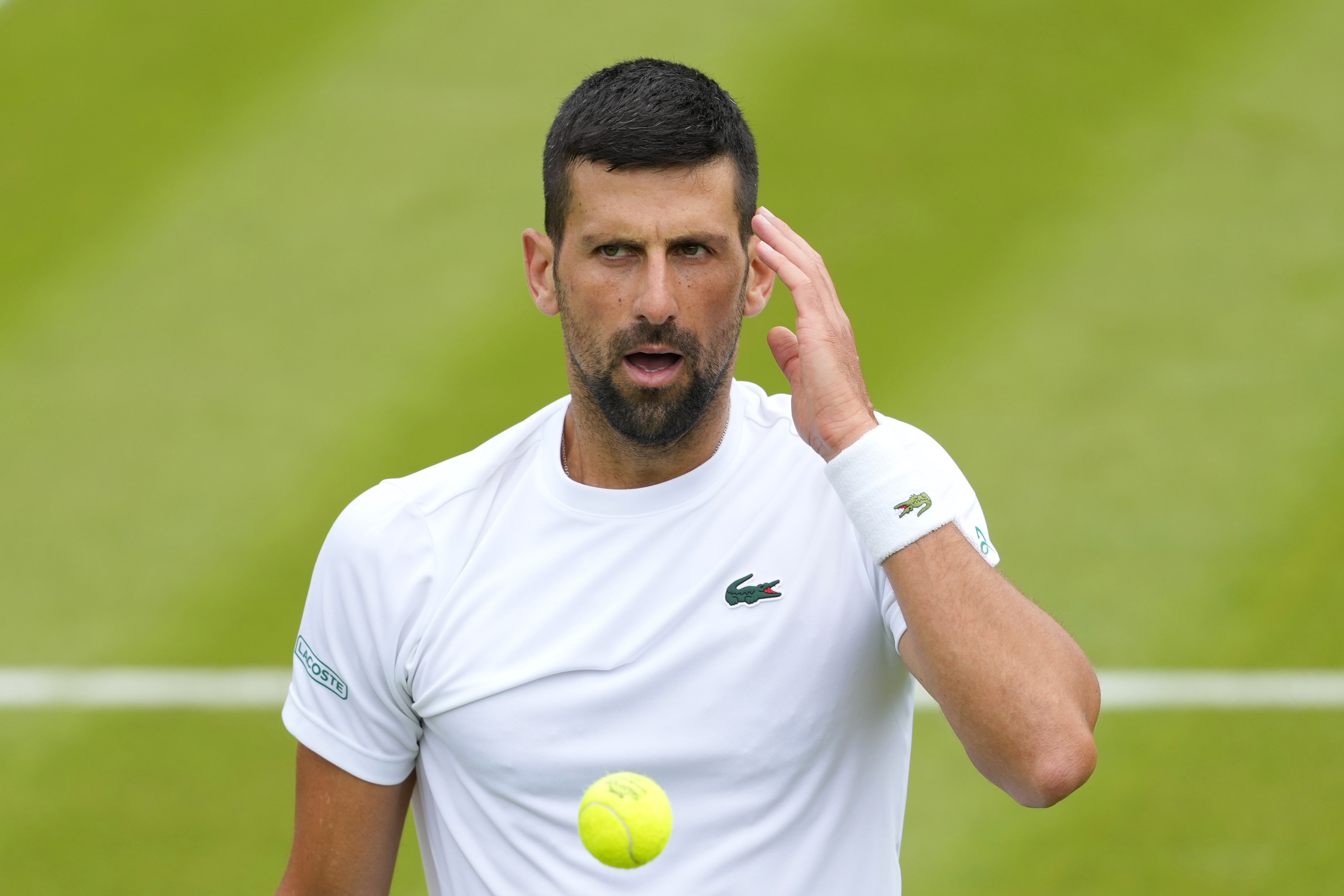 Novak Djokovic. Foto: Kirsty Wigglesworth/AP/TT