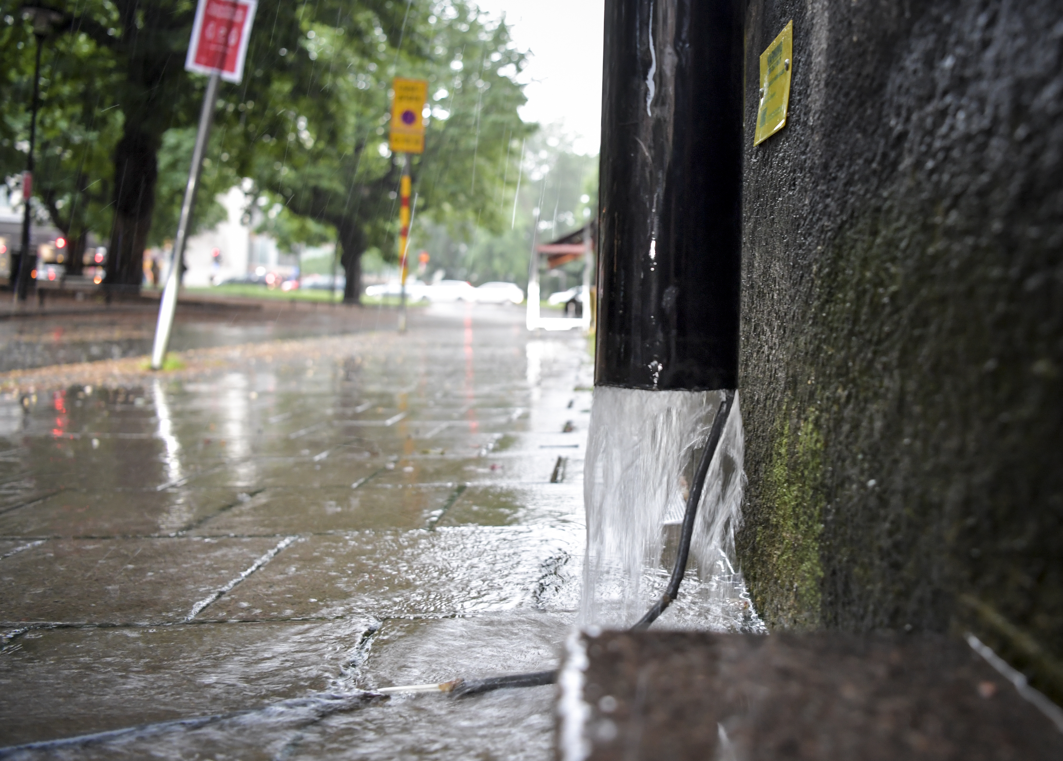 Stora regnmängder väntar på flera håll i landet. Arkivbild. Foto: Anders Wiklund/TT