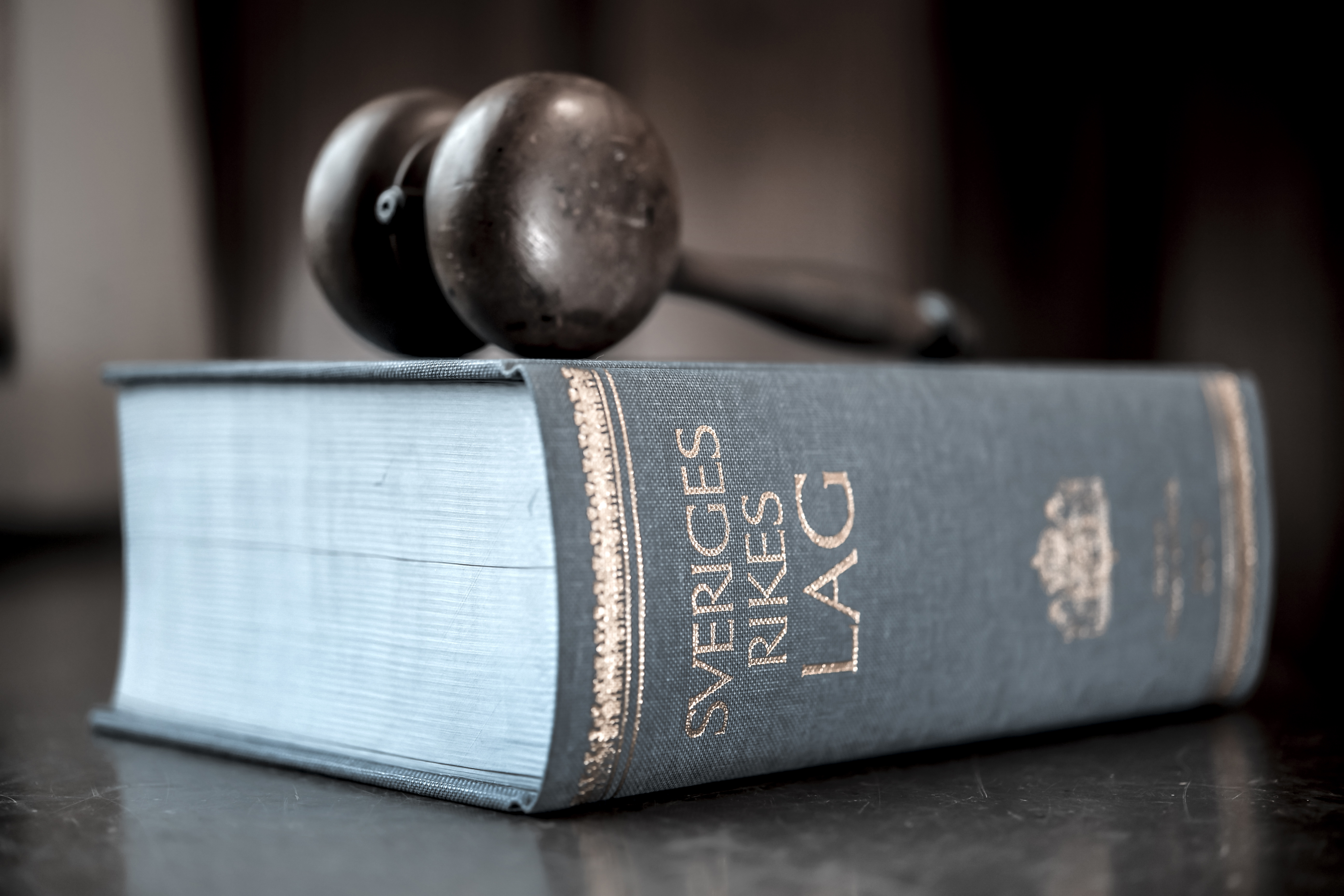 Mannen nekar till brott. Arkivbild. Foto: Anders Wiklund/TT