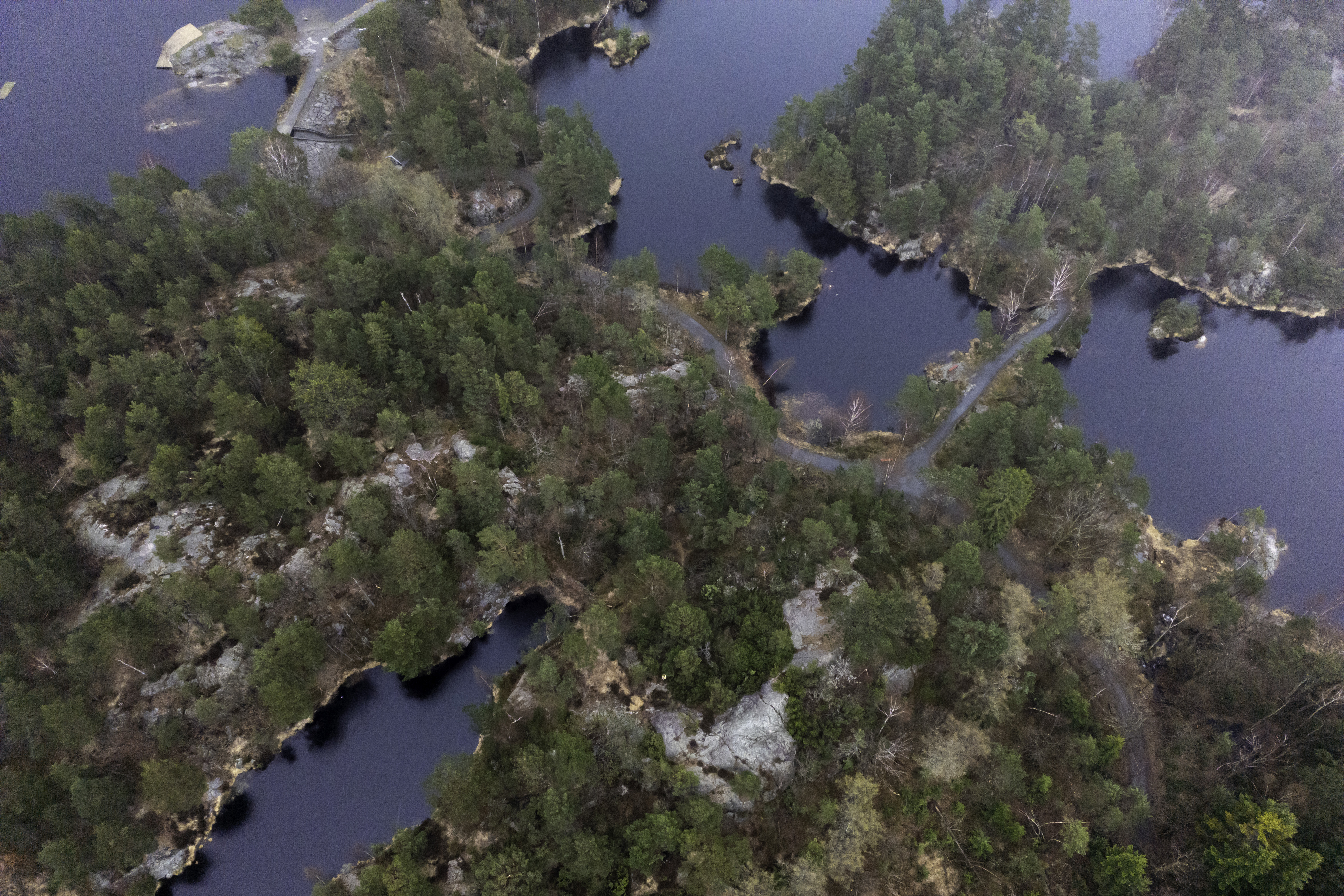 Området i Baneheia i Kristiansand i södra Norge där de två flickorna våldtogs och knivhöggs i maj 2000. Arkivbild. Foto: Cornelius Poppe/NTB/TT