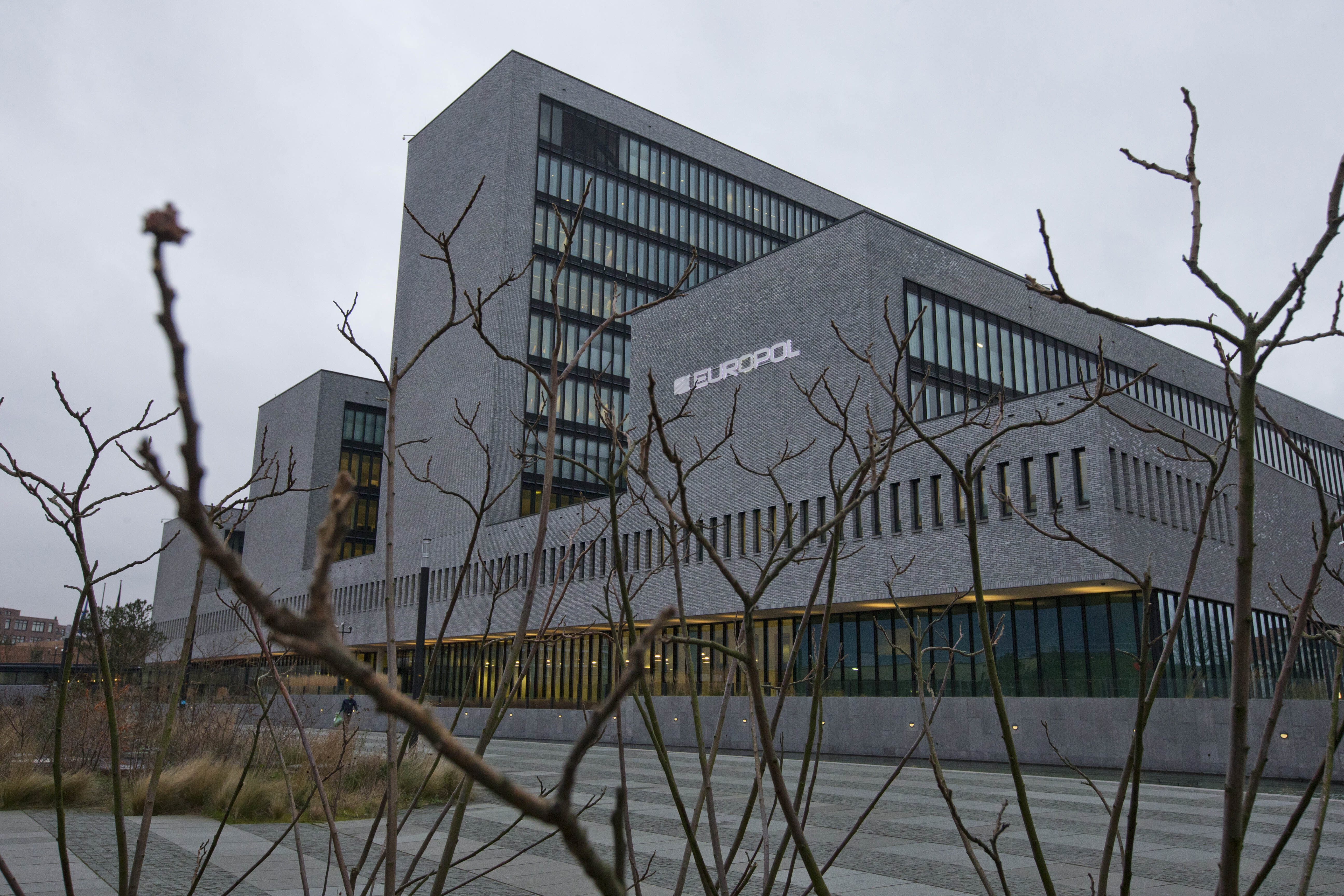 Insatsen har letts av Europol och amerikanska Homeland Security. Arkivbild. Foto: Peter Dejong/AP/TT