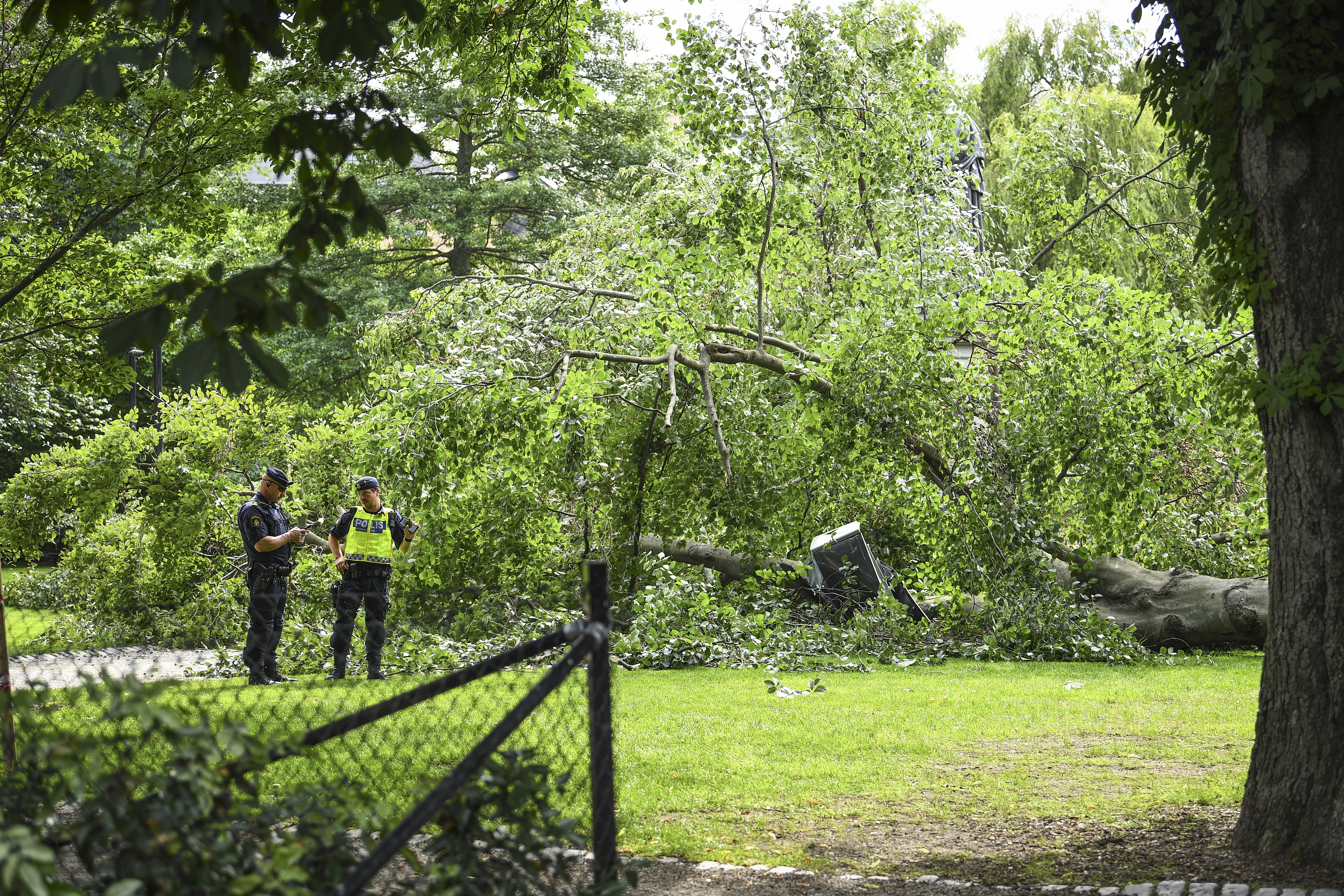 Ett stort träd har fallit i Berzelii park vid Nybroplan i centrala Stockholm.Två personer har skadats lindrigt i samband med att trädet föll, uppger polisen. Foto: Oscar Olsson/TT