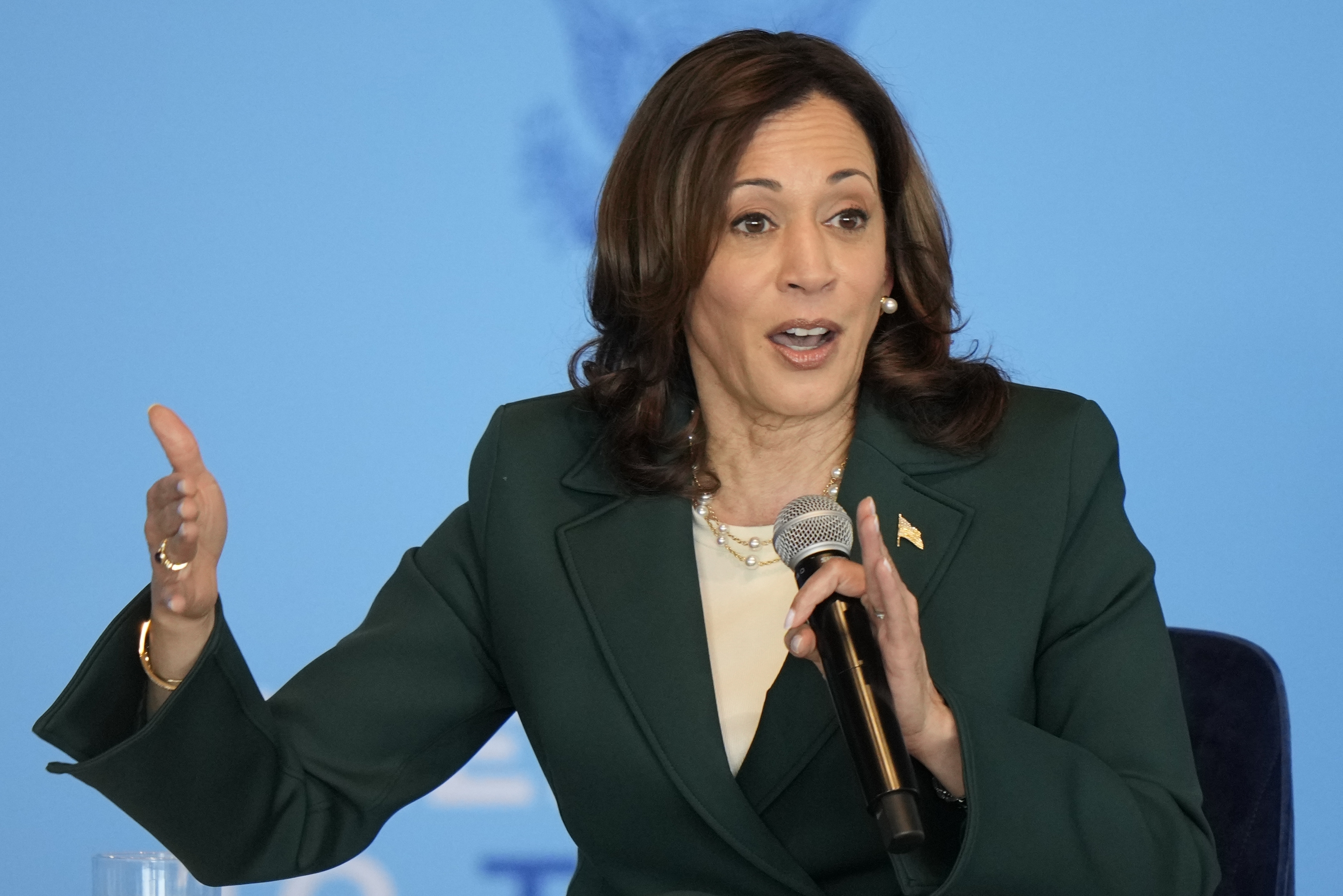 Kamala Harris. Arkivbild. Foto: Morry Gash