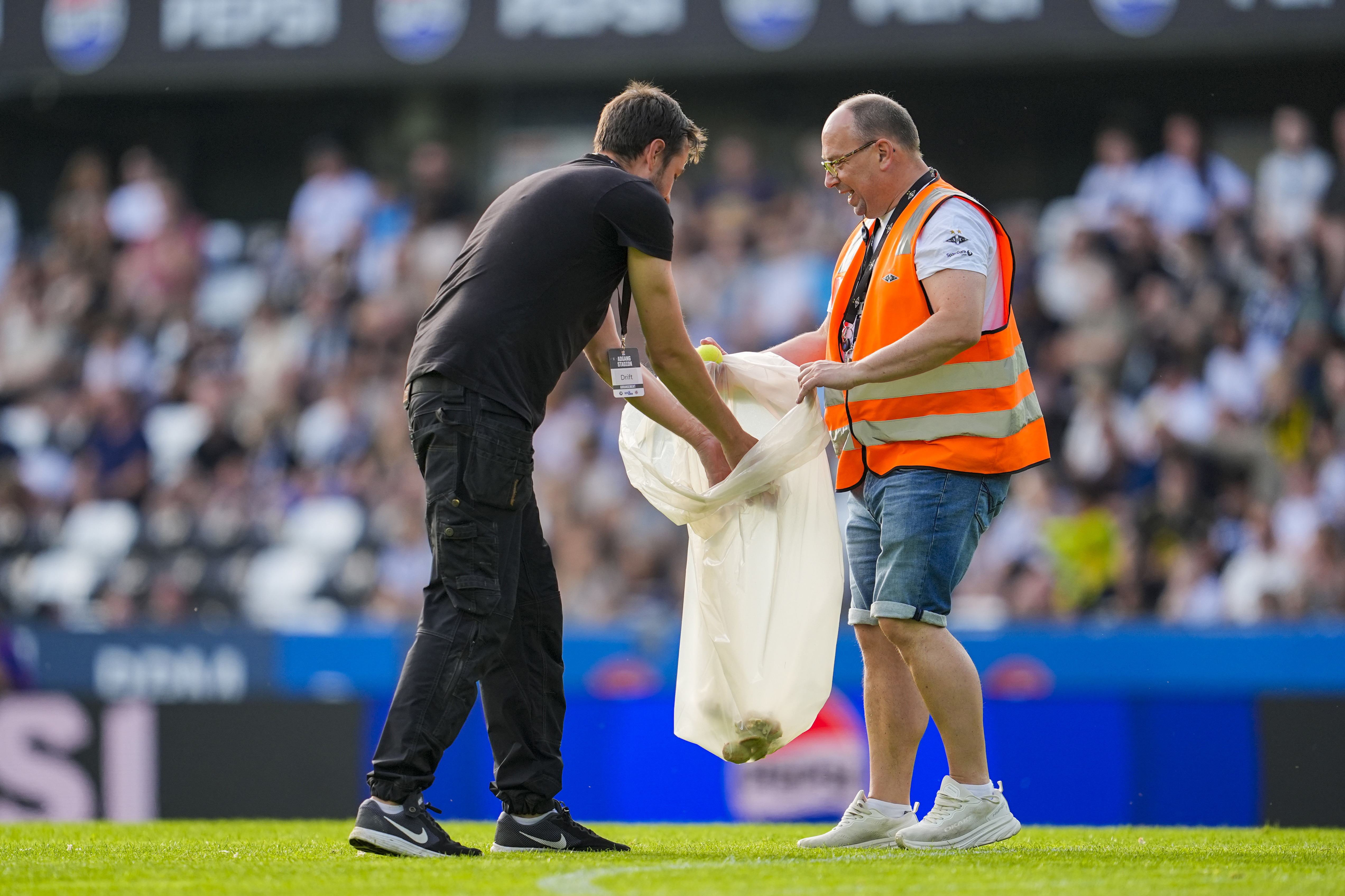 Funktionärer samlar ihop inkastade fiskbullar och tennisbollar under fotbollsmatchen mellan Rosenborg och Lillestrøm i söndags. Arkivbild. Foto: Ole Martin Wold/NTB/TT