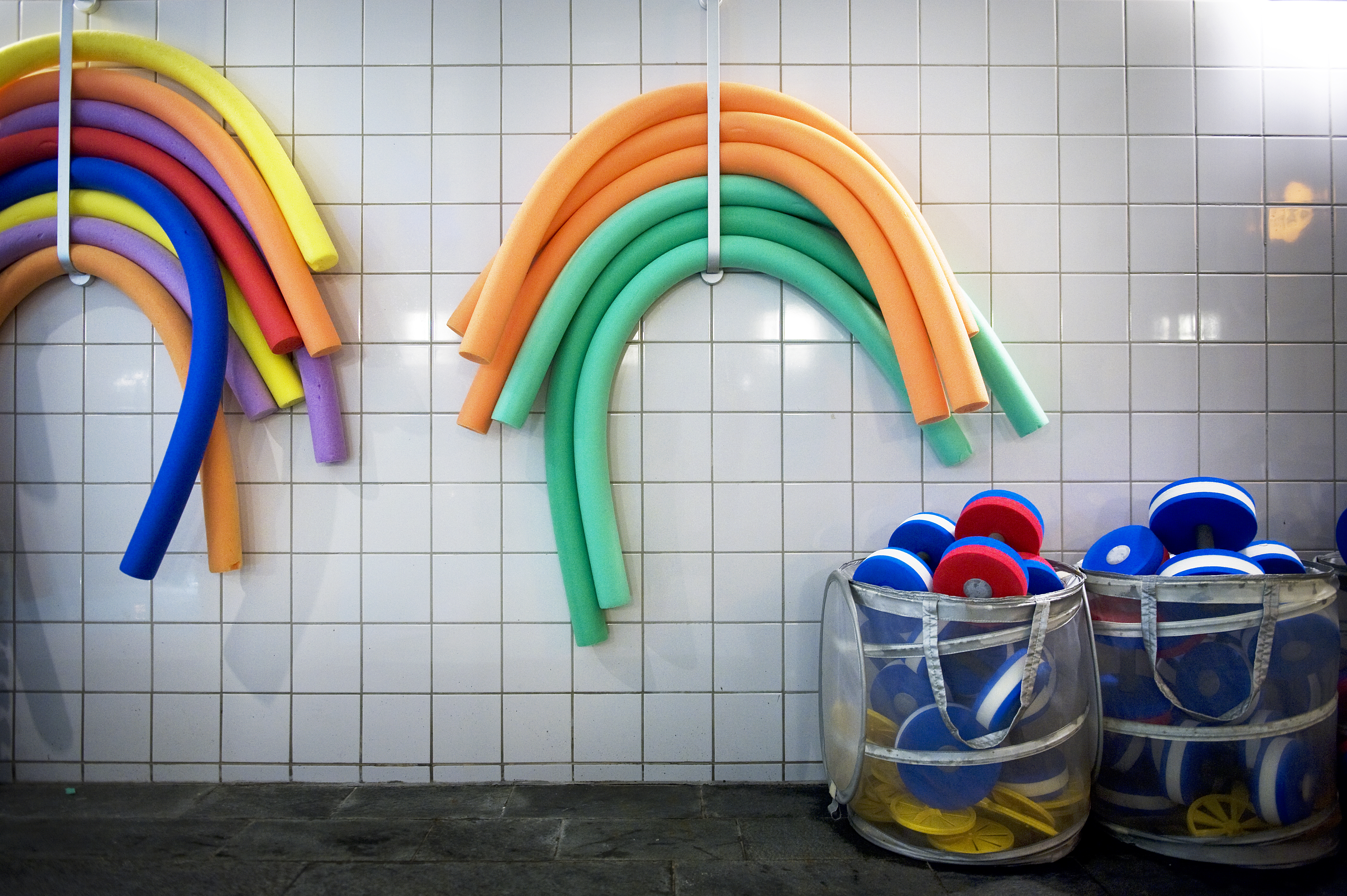 Den råtta som varit på rymmen i ett badhus i Fredrikshamn har hittats. Arkivbild. Foto: Karin Grip/SvD/TT