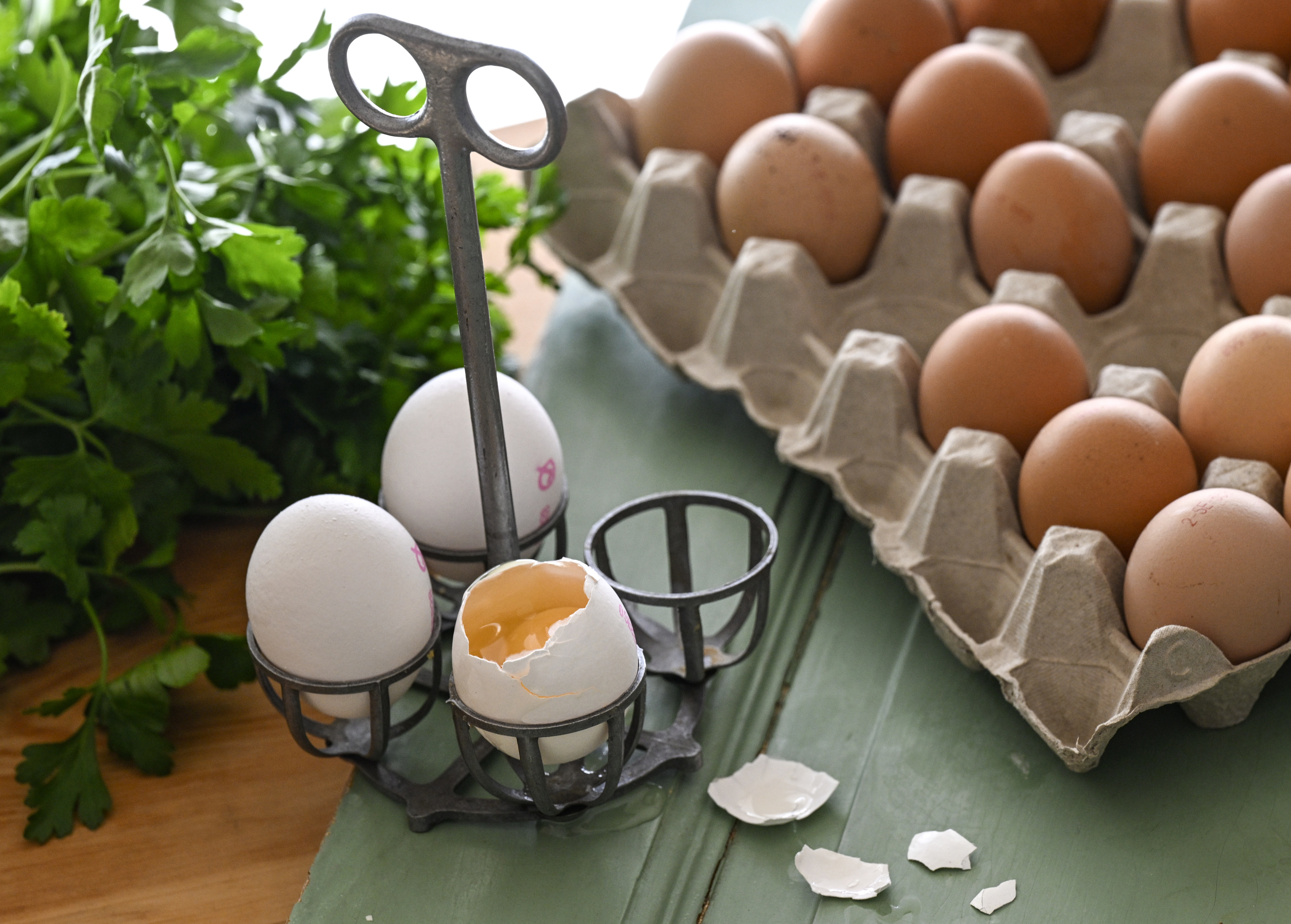 Axfood, Lidl och Ica återkallar ägg. Arkivbild. Foto: Johan Nilsson/TT