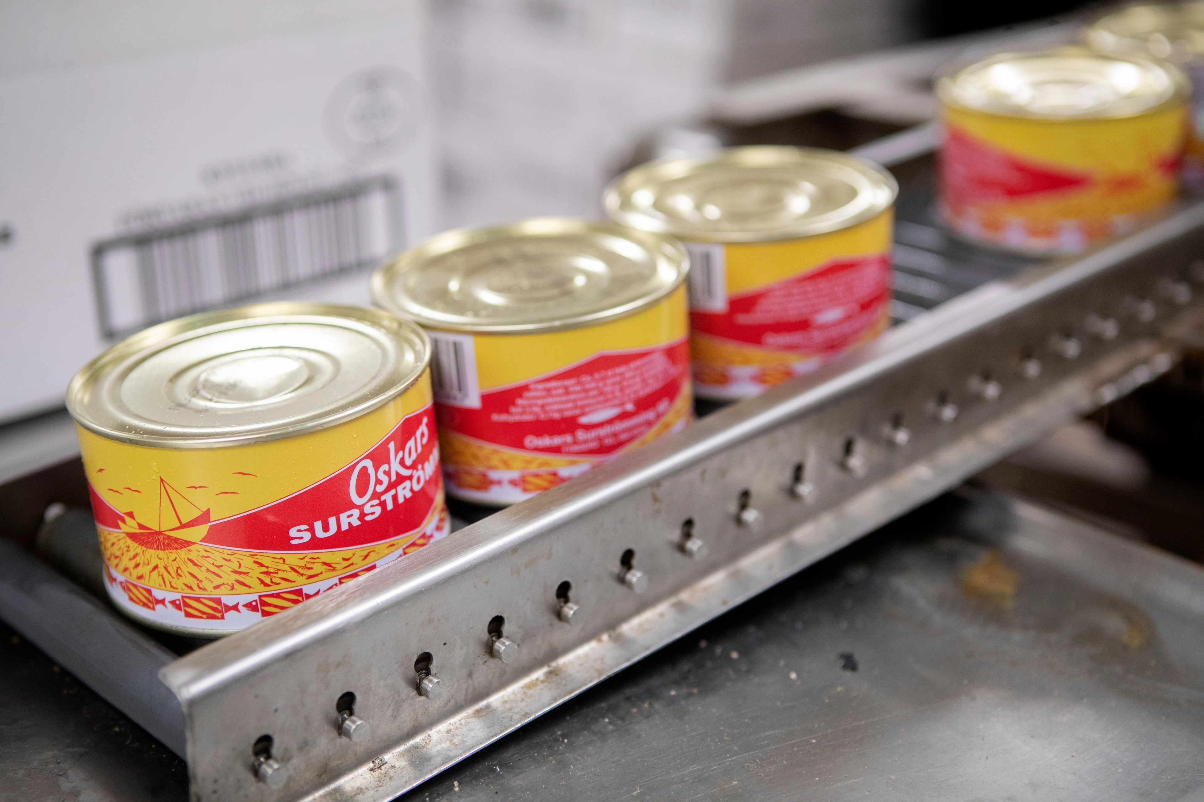 De 14 Norrbottenskommunerna har härsknat till på regeringens fiskepolitik. Arkivbild. Foto: Mats Andersson/TT