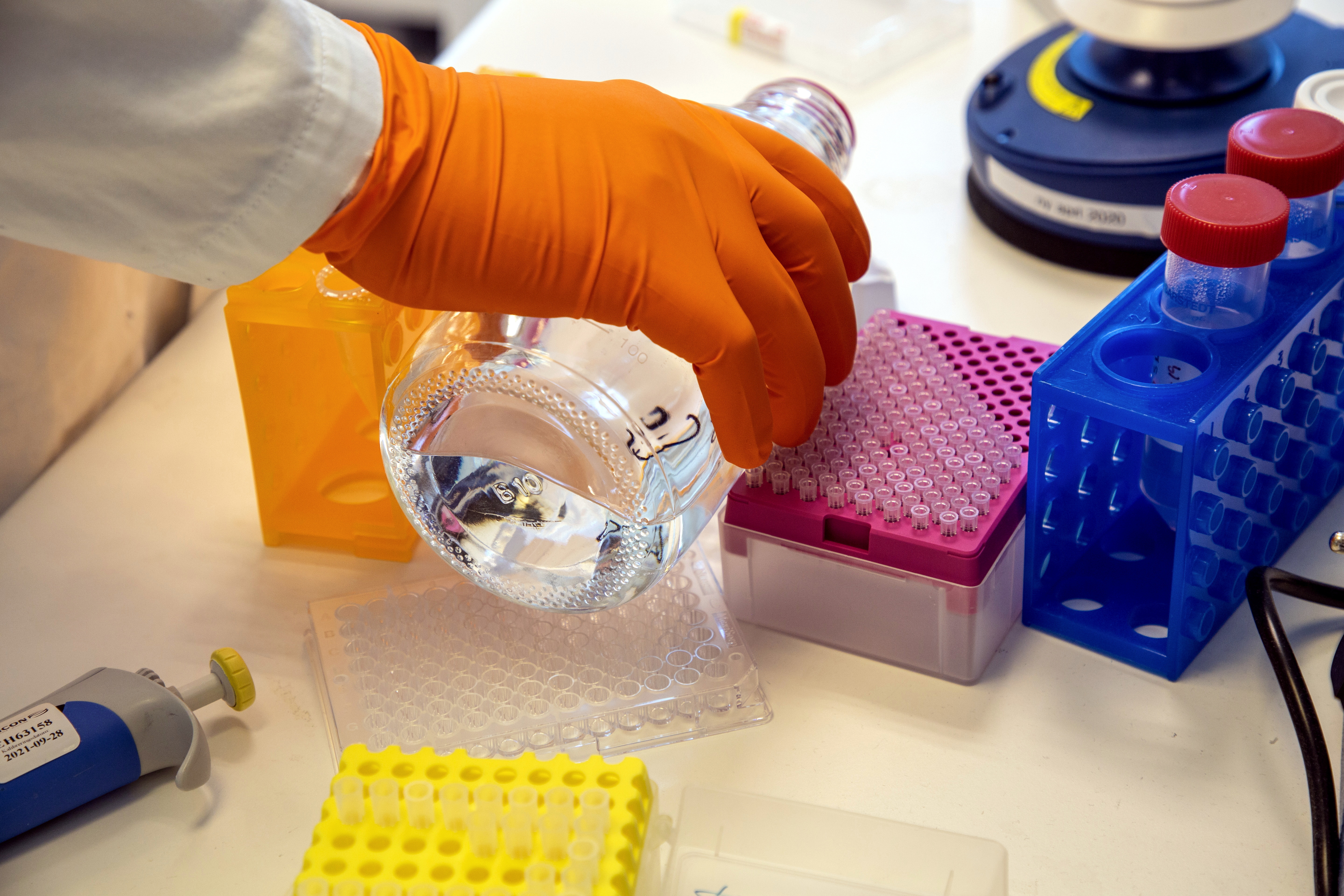 Det svenska Bioarctic ligger bakom upptäckten som lett fram till Leqembi. Arkivbild. Foto: Martina Holmberg/TT