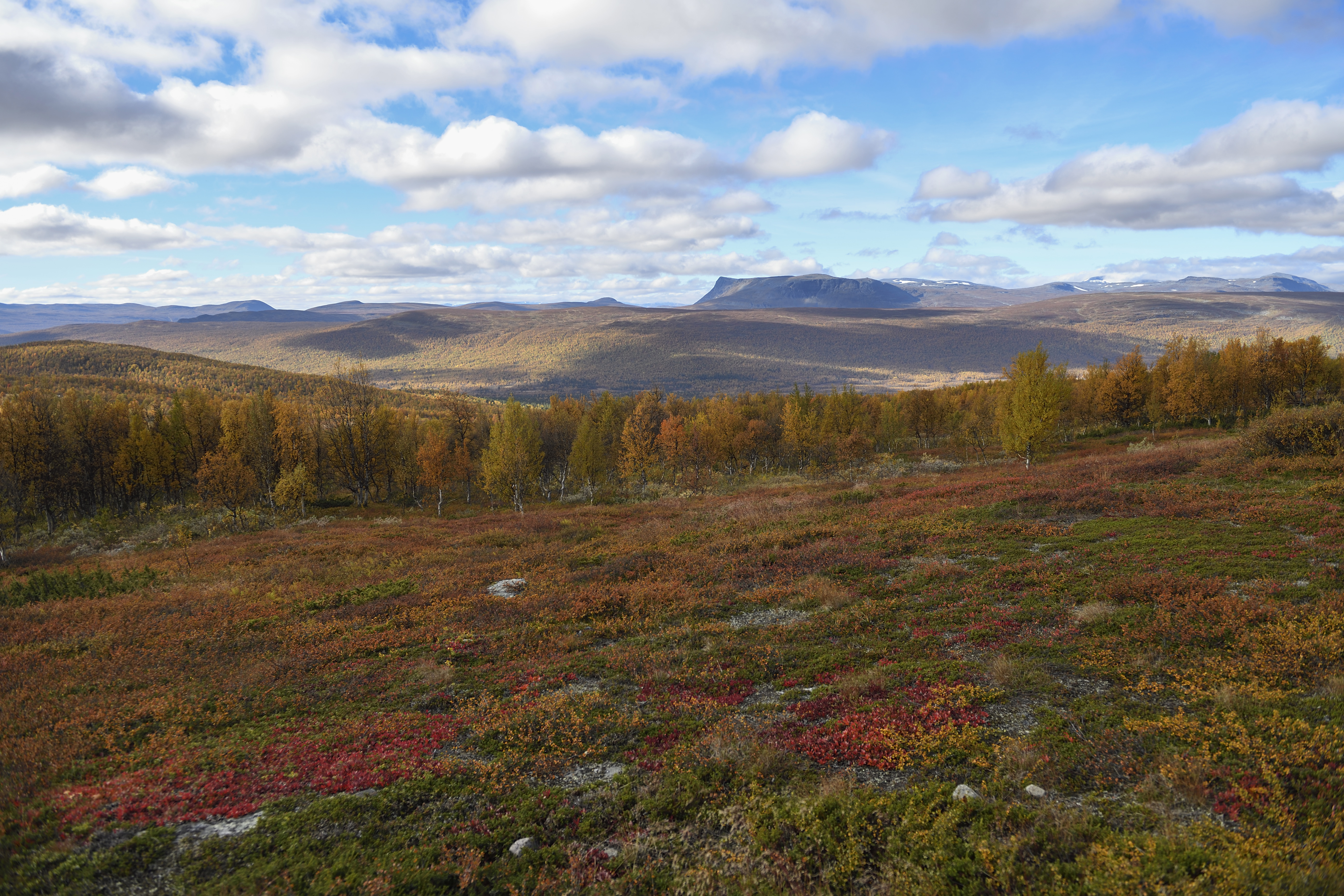 SMHI avråder ovana besökare från att ge sig ut på fjället. Arkivbild. Foto: Henrik Montgomery/TT
