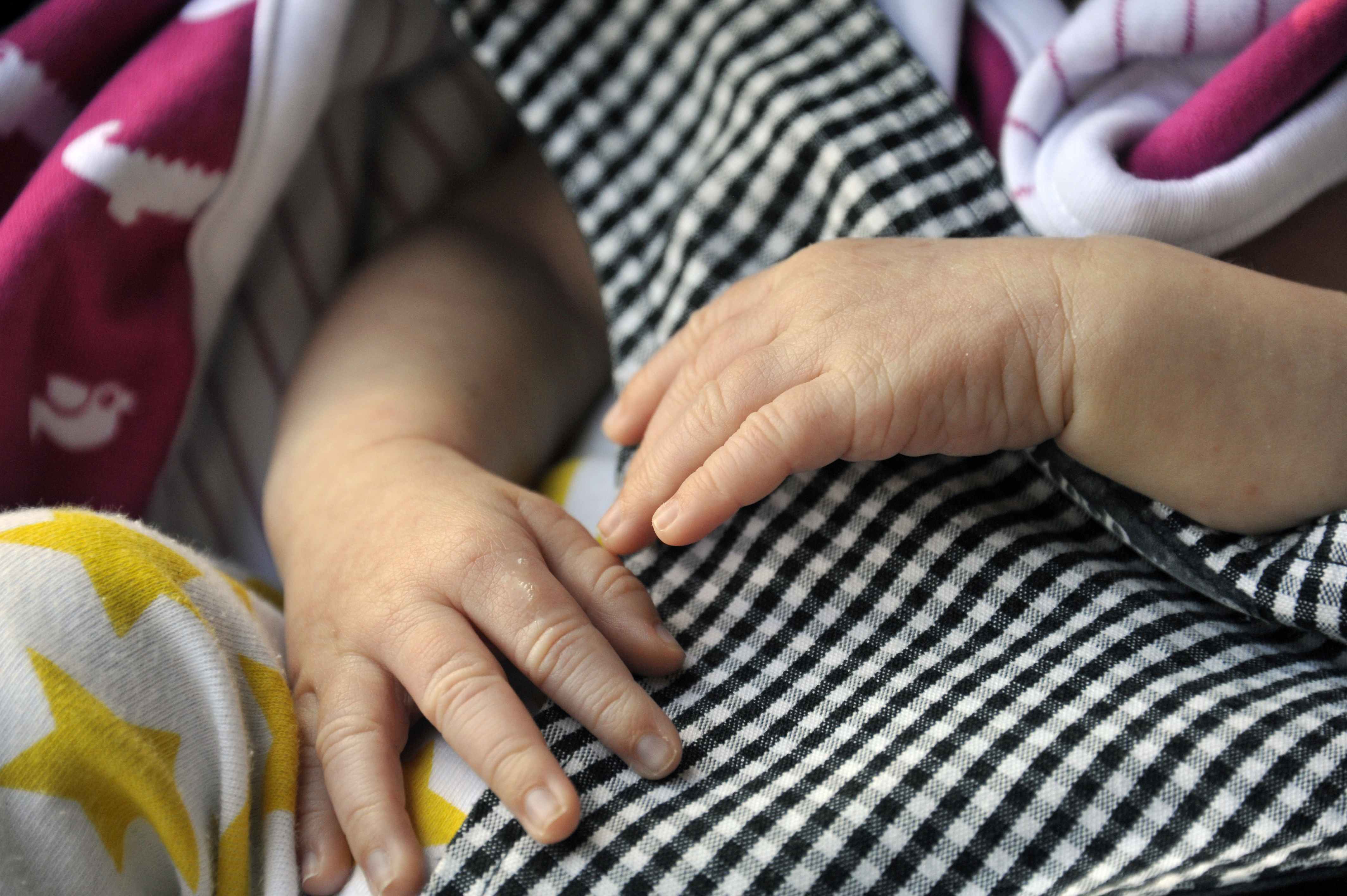 De gripna har enligt anklagelserna handlat med spädbarn upp till tre månader gamla. Arkivbild. Foto: Hasse Holmberg/TT