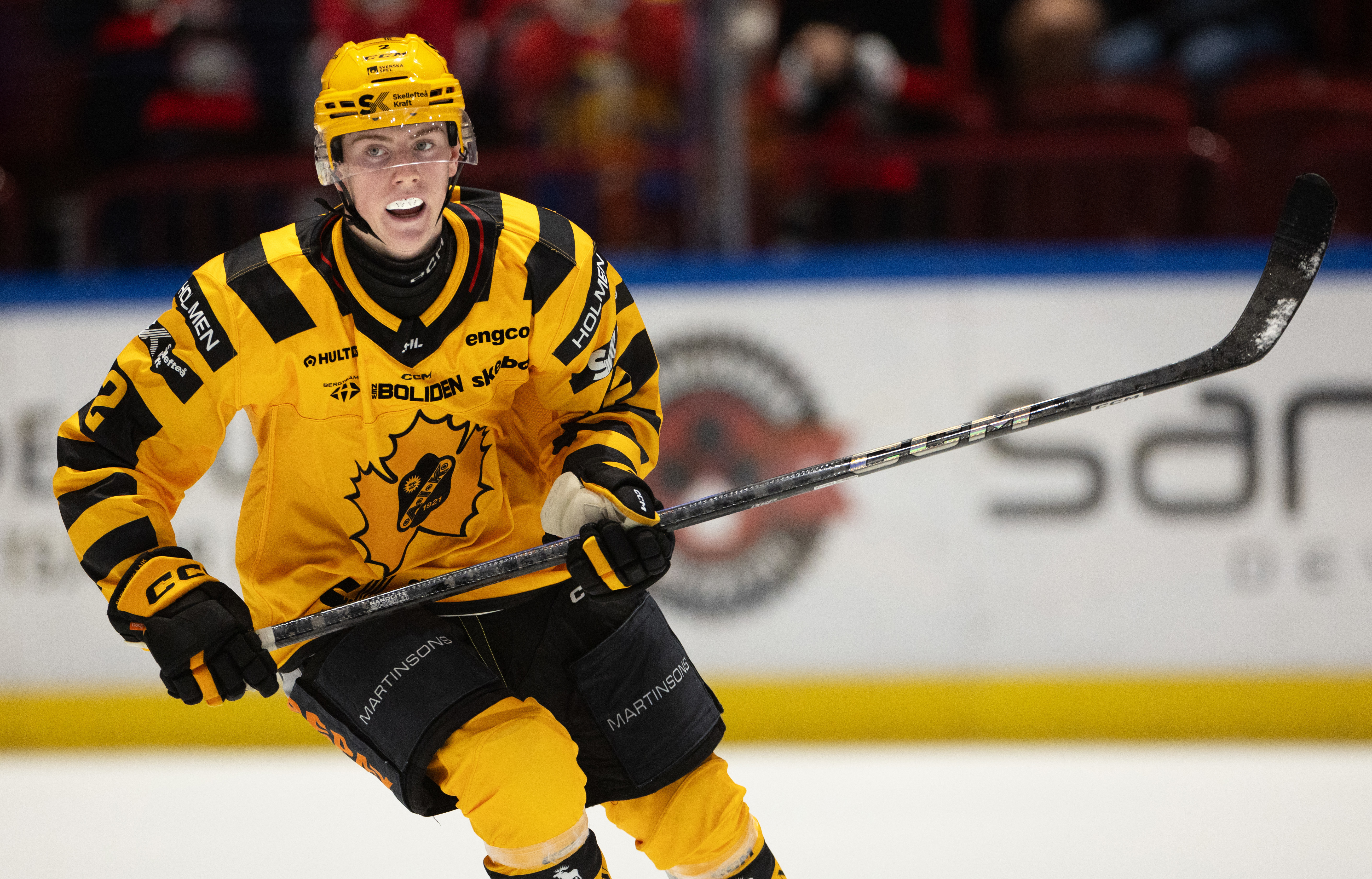 Leo Sundqvist gjorde sitt första SHL-mål för Skellefteå. Arkivbild. Foto: Andreas Hillergren/TT