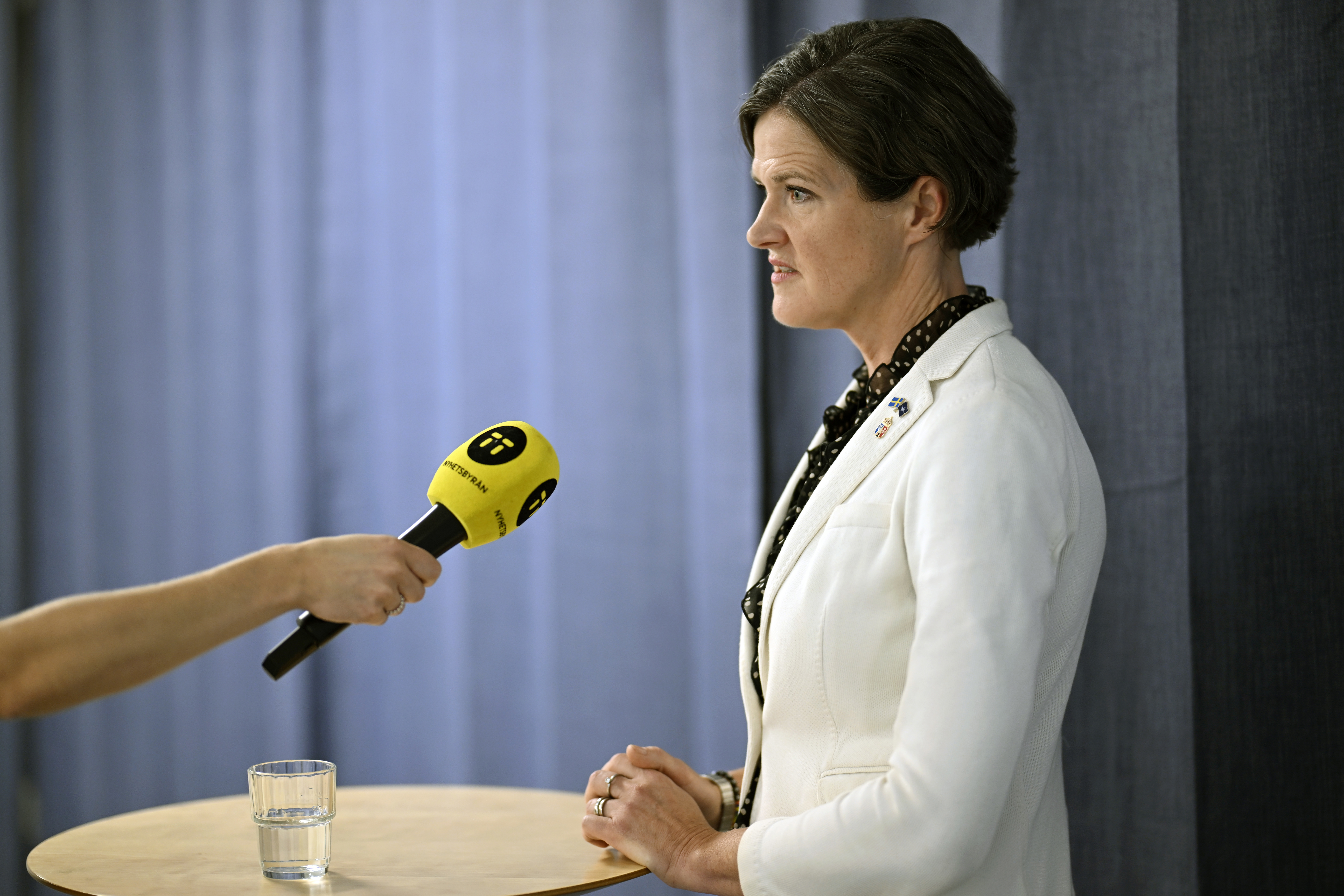 Landshövding Anna Kinberg Batras agerande har skadat förtroendet för statsapparaten – enligt statsvetaren. Arkivbild. Foto: Pontus Lundahl/TT