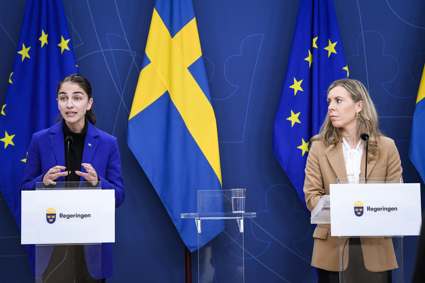 Flera miljöexperter riktar stark kritik mot direktiven för Tidöpartiernas nya klimatutredning. Arkivbild. Foto: Jakob Åkersten Brodén/TT