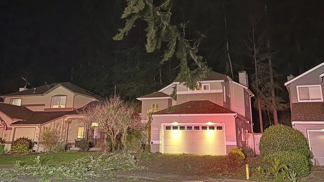 Ett träd som fallit över ett hus i Issaquah i delstaten Washington. Foto: Räddningstjänsten i Eastside via AP/TT