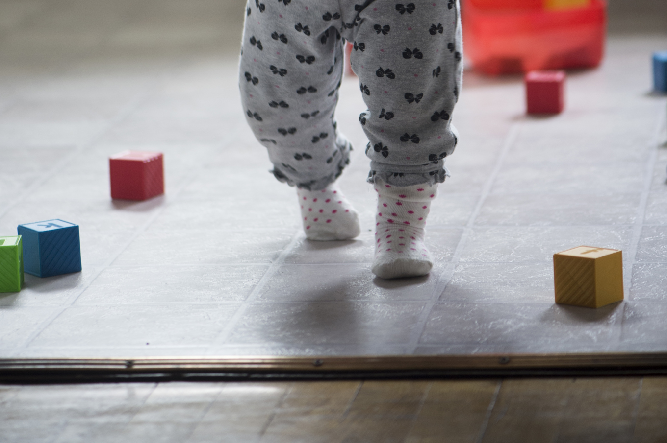 De åtta danskarna som adopterades från Sydkorea riktar skadeståndskrav mot danska staten. Arkivbild. Foto: Fredrik Sandberg/ TT