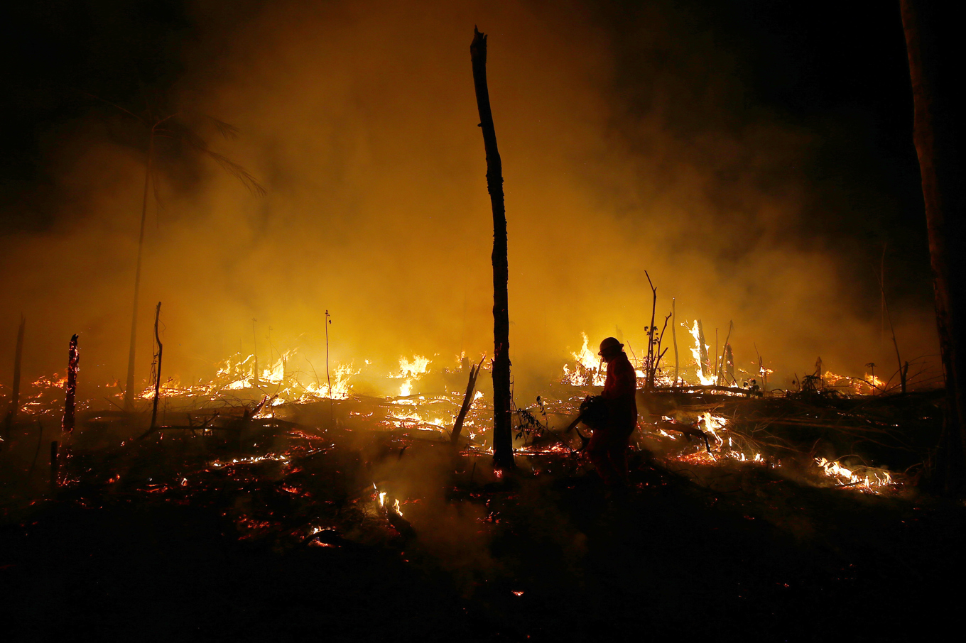 Brinnande skog i delstaten Amazonas i Brasilien 2023. Arkivbild. Foto: Edmar Barros/AP/TT