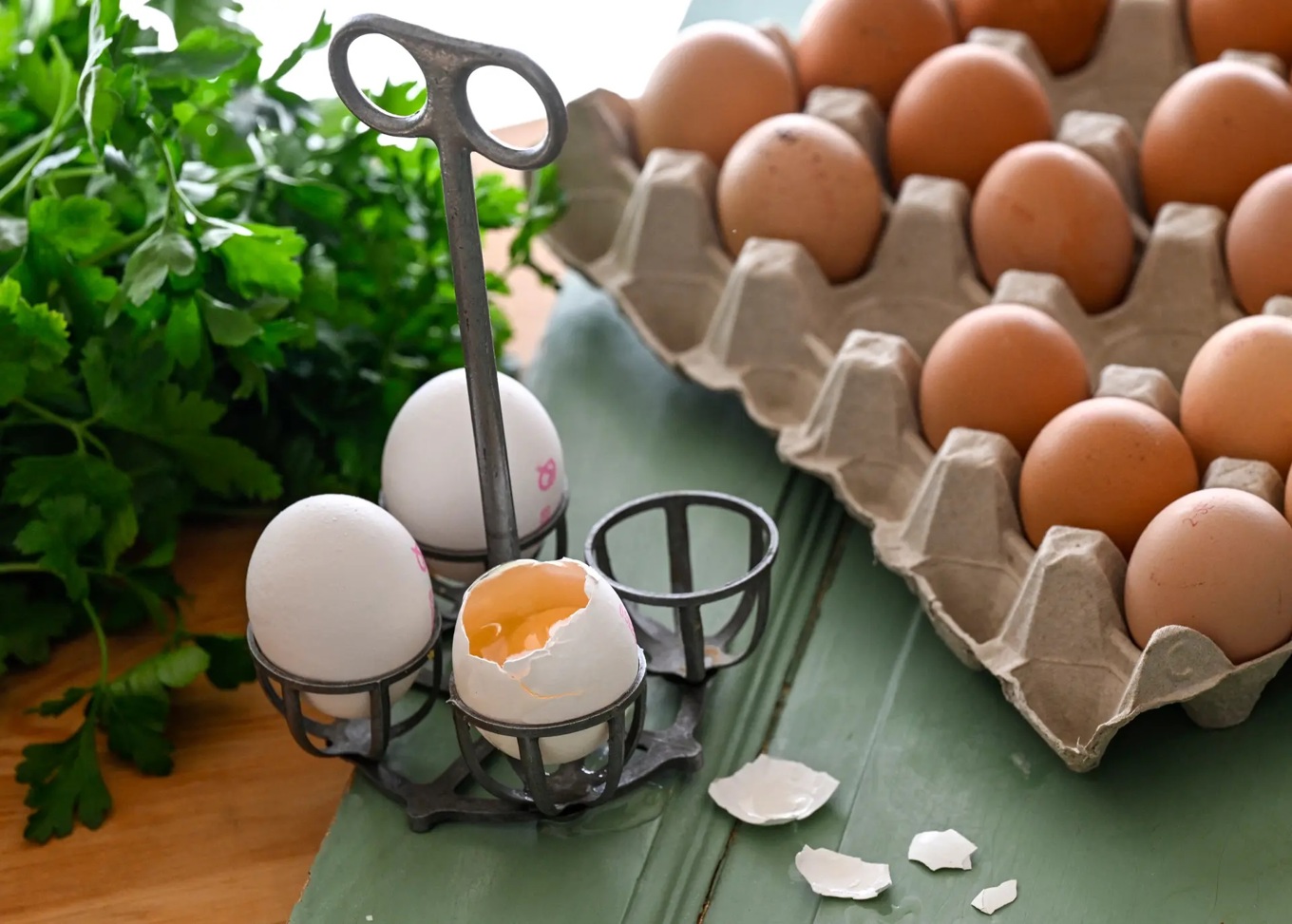 Salmonella ger magsjuka med diarré, magkramper och kräkningar. Foto: Johan Nilsson/TT