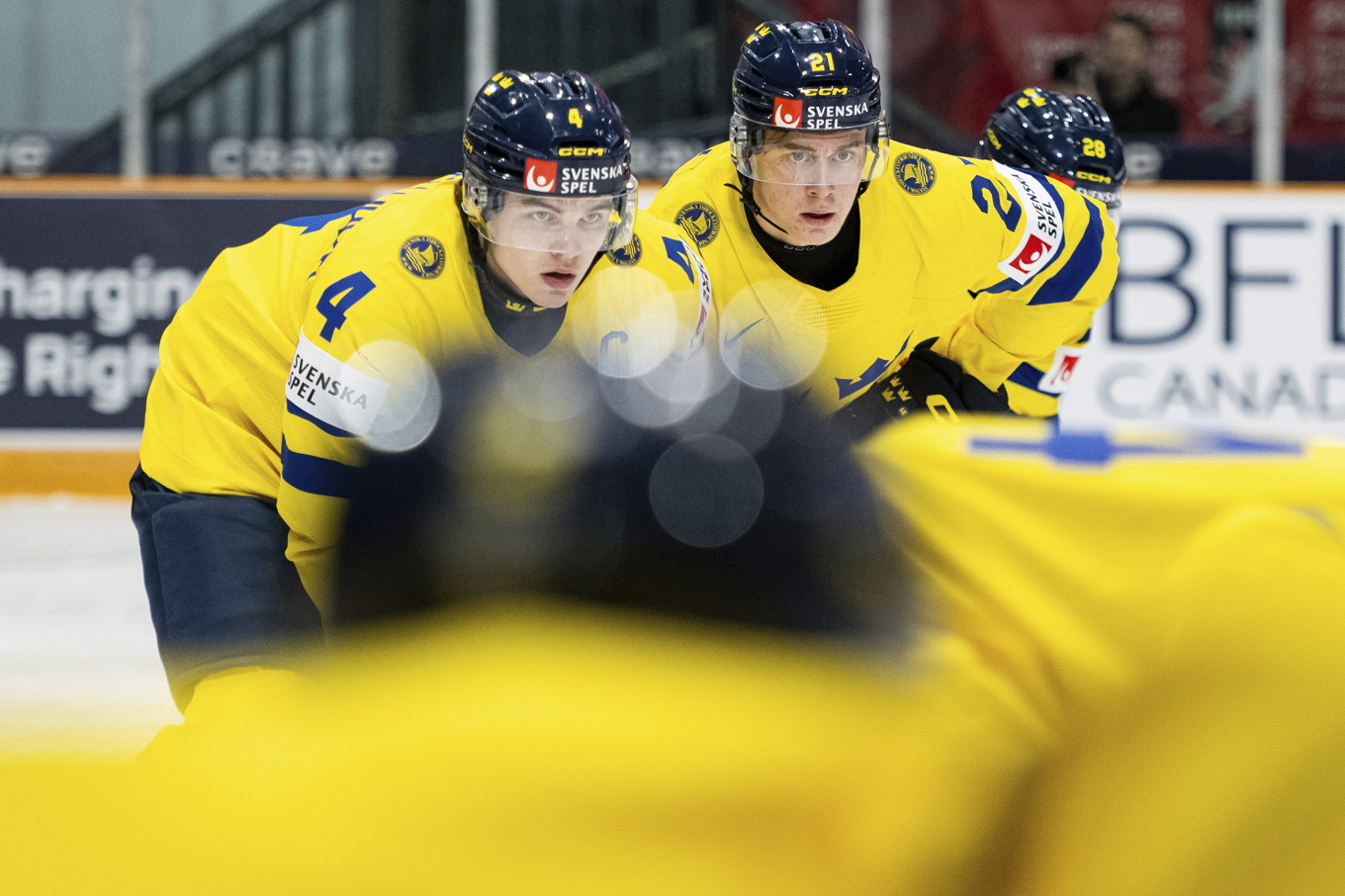 Axel Sandin Pellikka och Herman Träff under kvartsfinalen mot Lettland. Foto: Spencer Colby/AP/TT