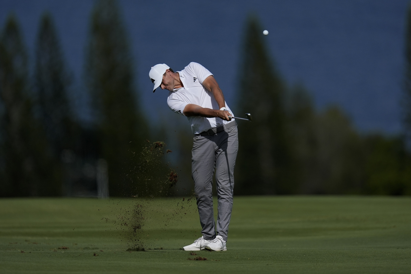 Ludvig Åberg i PGA-premiären på Hawaii. Foto: Matt York/AP/TT