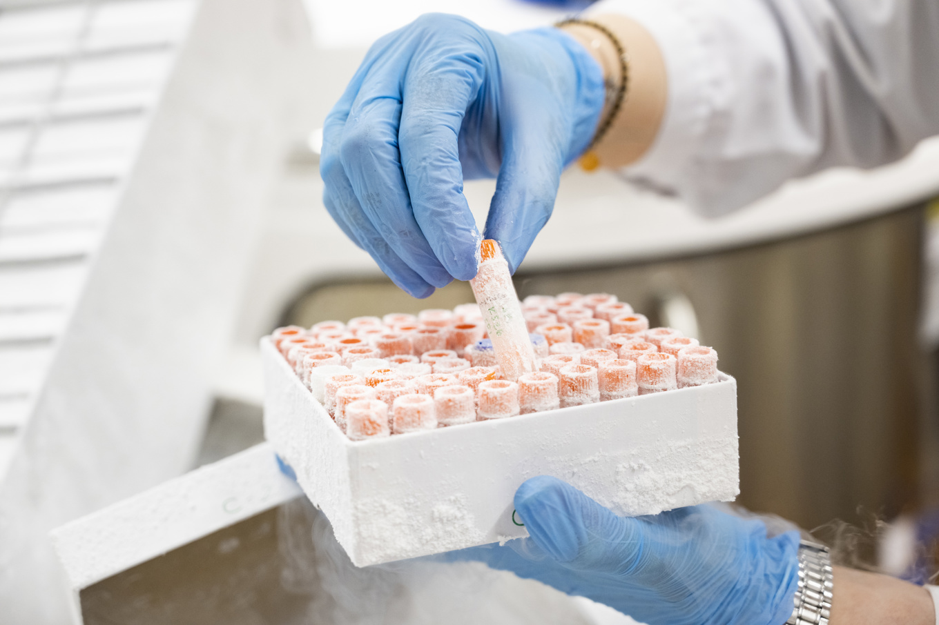 En studie visar att barns immunsystem reagerar olika vid cancer jämfört med vuxnas. Arkivbild. Foto: Henrik Montgomery/TT