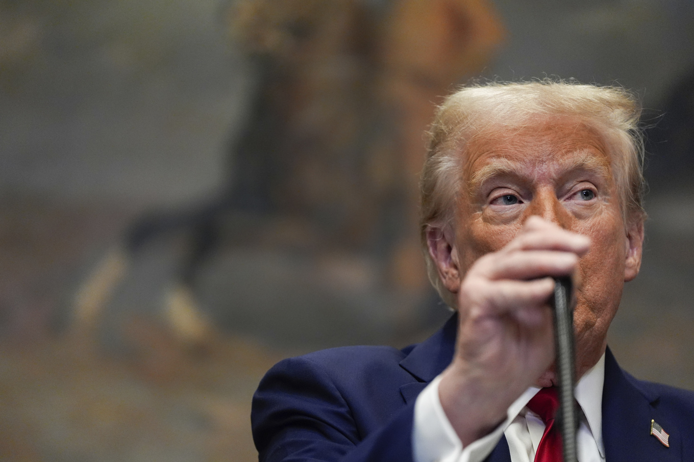 USA:s president Donald Trump. Foto: Julia Demaree Nikhinson/AP/TT