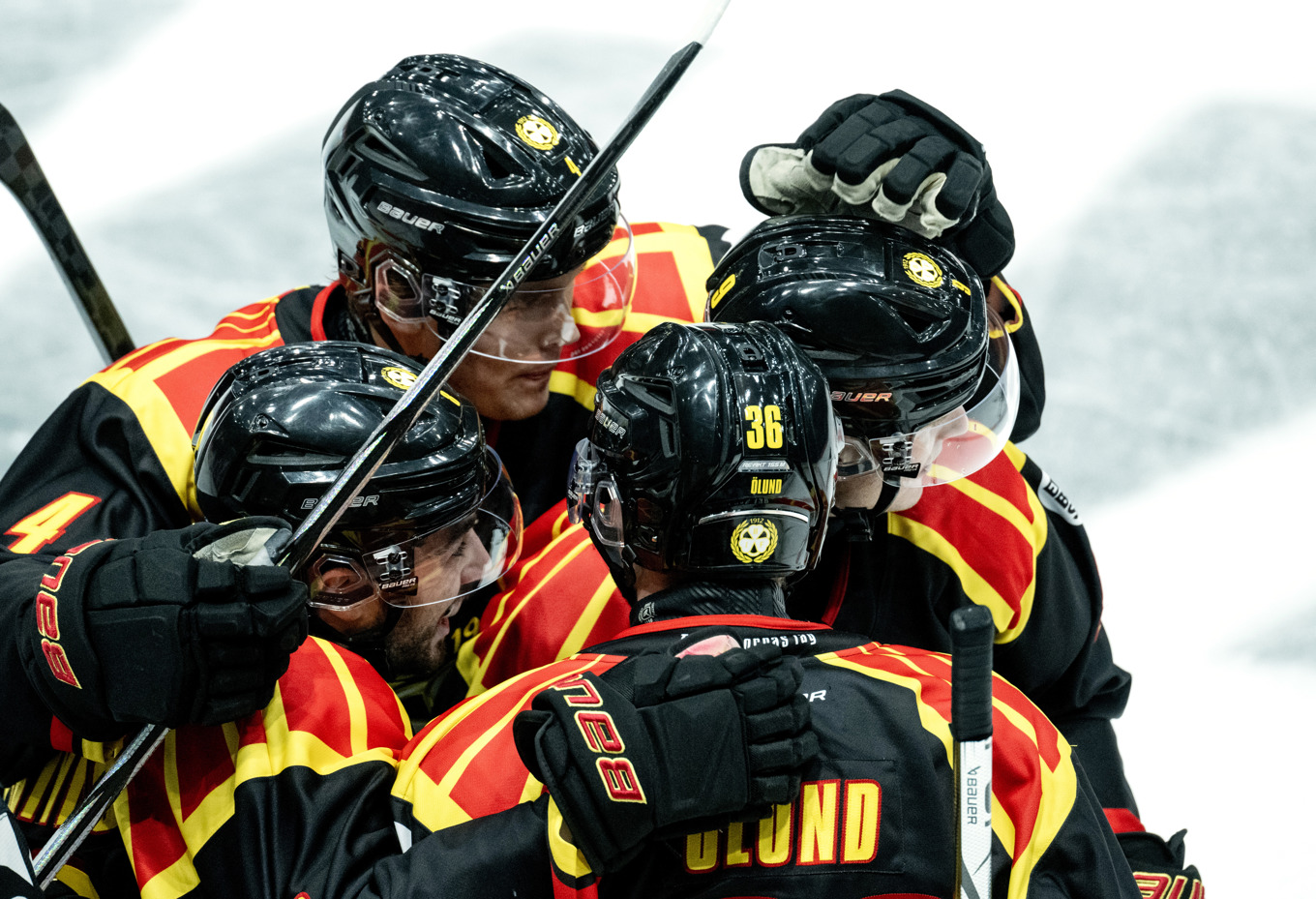 Jubel i Brynäs efter ny seger i SHL. Arkivbild. Foto: Christine Olsson/TT
