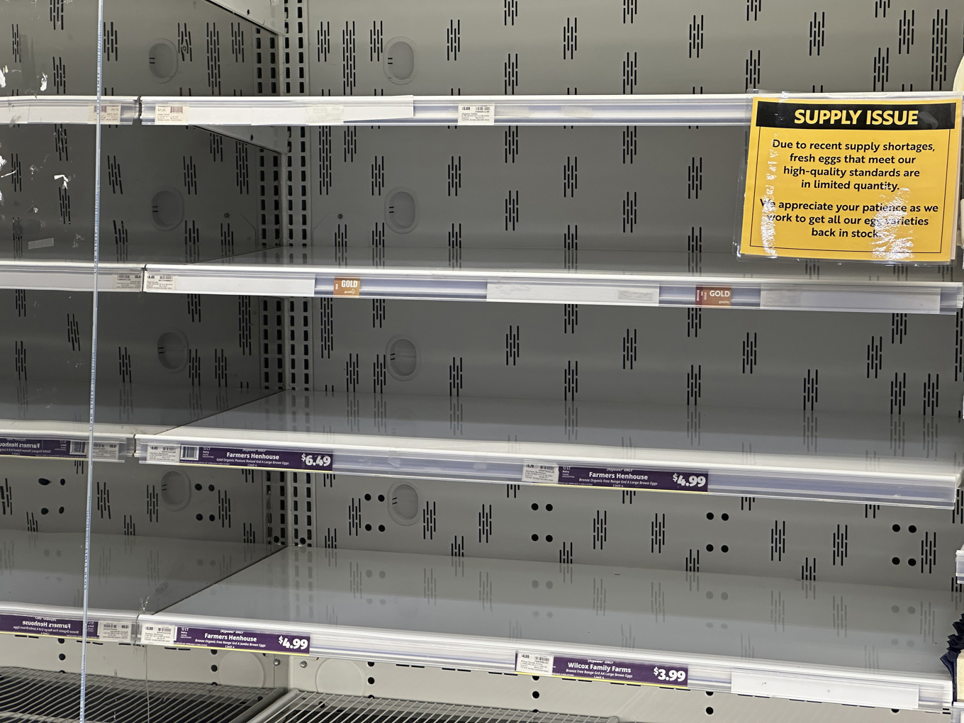 Tomma ägghyllor i en matbutik i Denver, Colorado i förra veckan. Foto: David Zalubowski/AP/TT