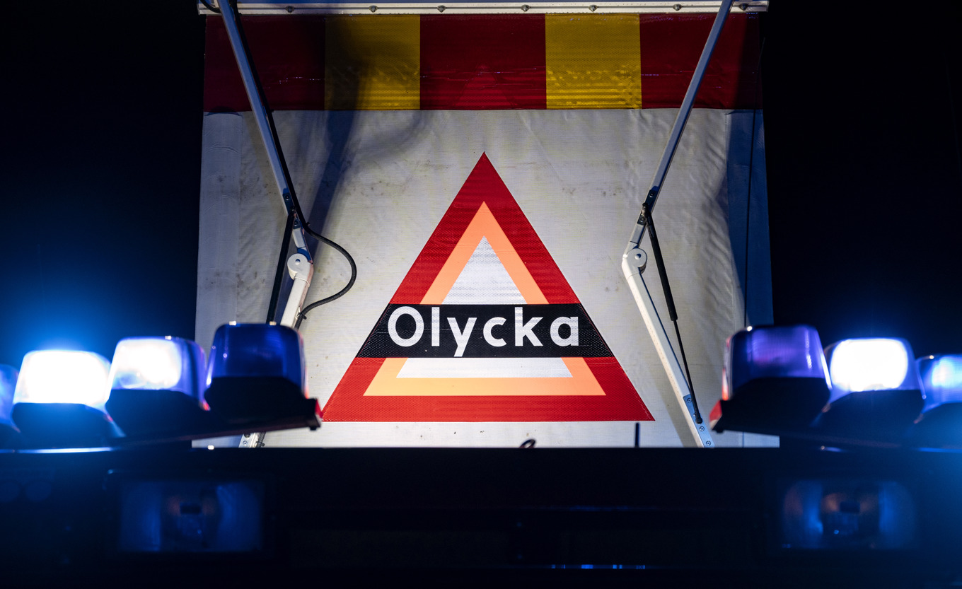 En kvinna vårdas med kritiska skador efter att ha krockat med en älg. Arkivbild. Foto: Johan Nilsson/TT