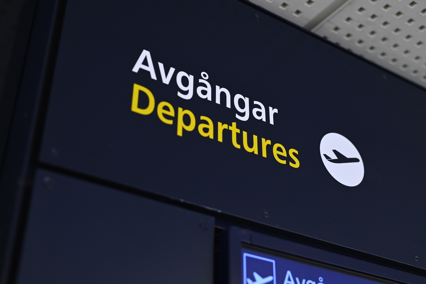 Försäkringskassan och Tullverket gör gemensamma kontroller på Arlanda. Arkivbild. Foto: Oscar Olsson/TT