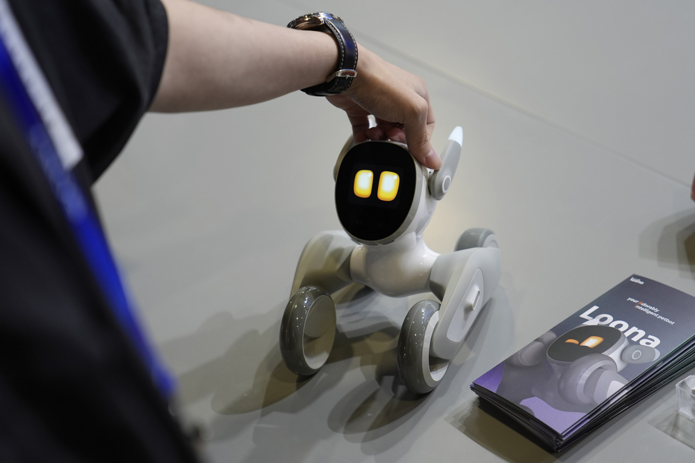 Ett robothusdjur vid CES-mässan i Las Vegas, USA, i januari i år. Foto: John Locher/AP/TT