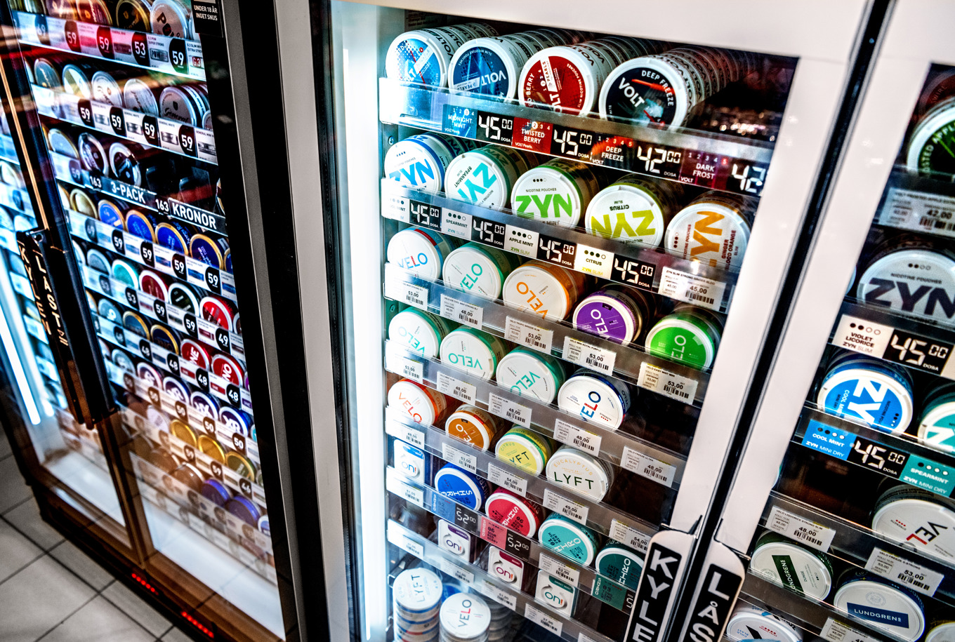 Arkivbild. Foto: Claudio Bresciani/TT