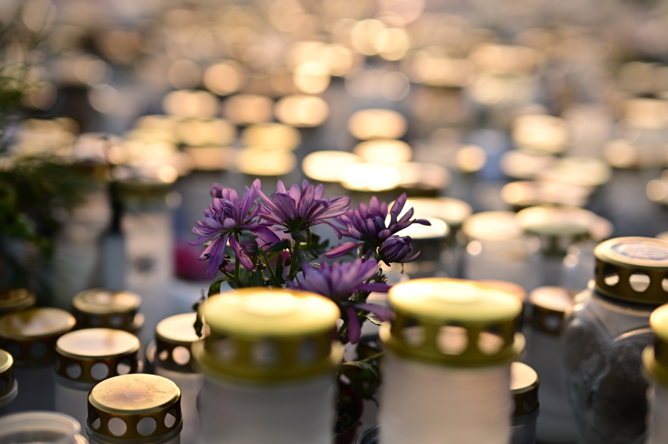 Minnesplats utanför Campus Risbergska. Arkivbild. Foto: Björn Larsson Rosvall/TT