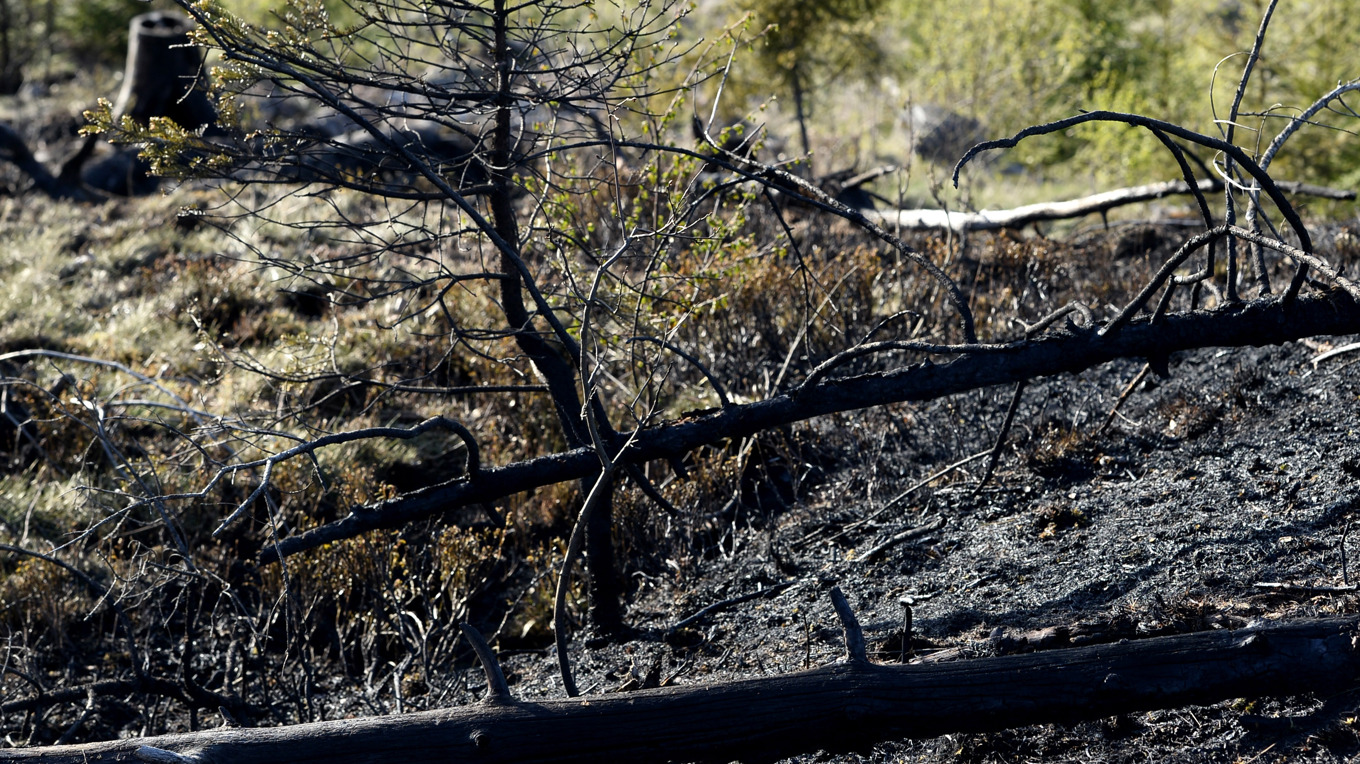SMHI varnar för gräsbränder i snöfria delar av landet. Arkivbild. Foto: Pontus Lundahl/TT