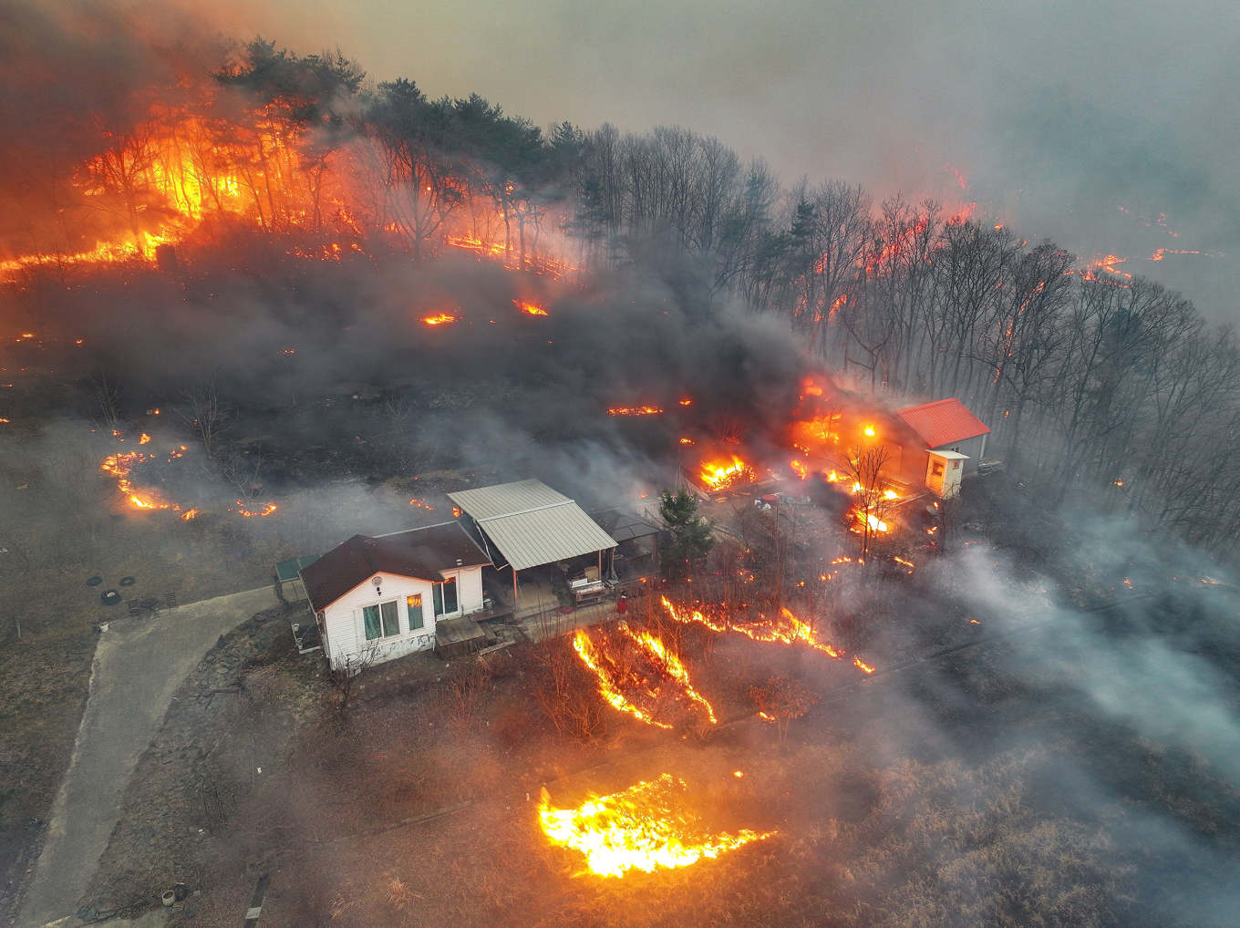 Skogsbranden har nått byn Uiseong i Sydkorea den 24 mars i år. Foto: Yoon Gwan-shick/AP/TT