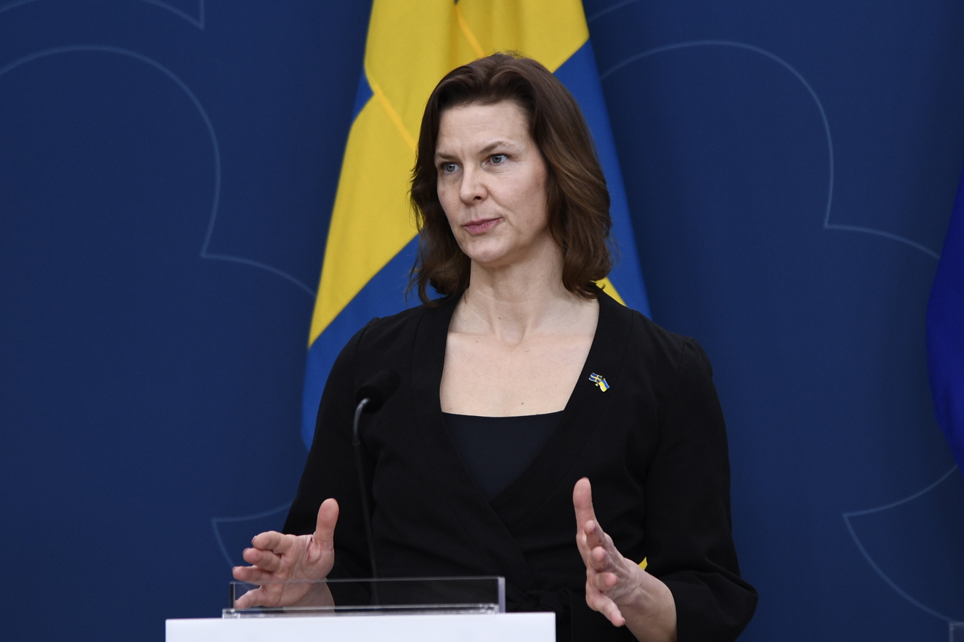 Regeringens nya jämställdhetsminister Nina Larsson (L). Foto: Lars Schröder/TT