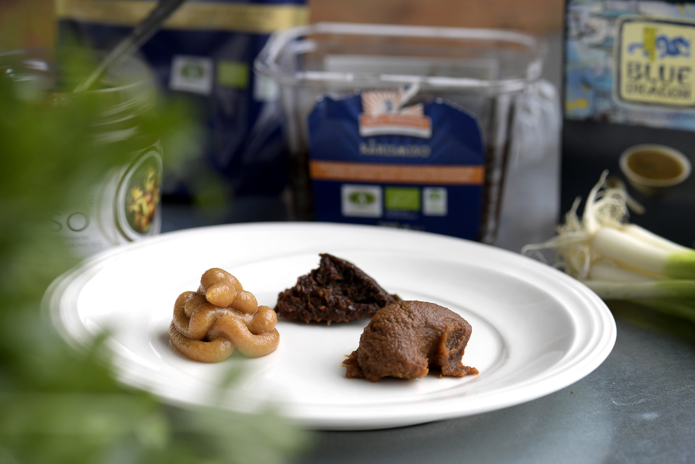 Miso som fermenterats i rymden får en annan smak än den som inte lämnat jorden, enligt en studie där miso fermenterats på ISS. Arkivbild. Foto: Janerik Henriksson/TT