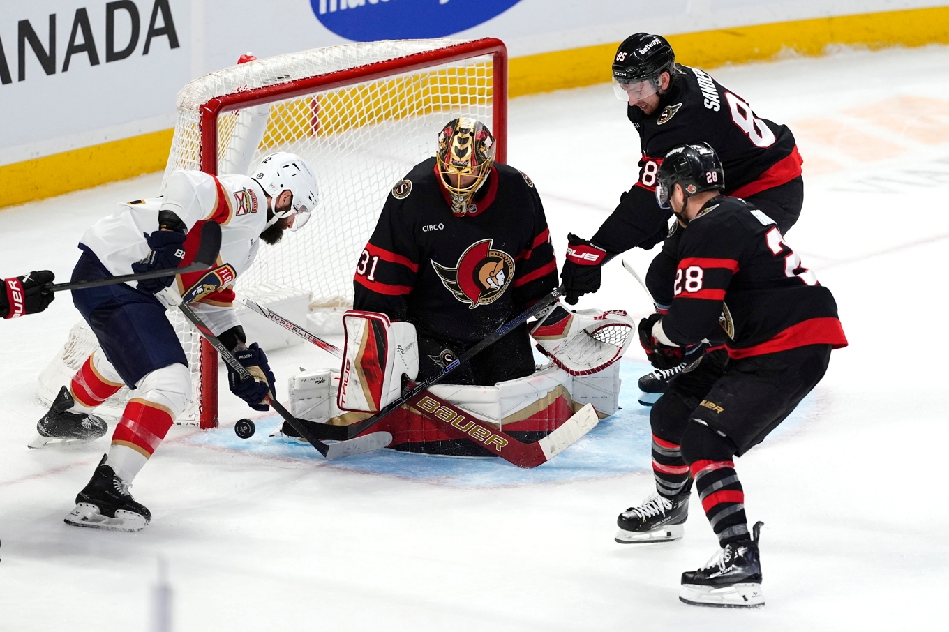 Ottawas svenske målvakt Anton Forsberg gör en räddning i tredje perioden mot Florida. Foto: Justin Tang/The canadian press via AP/TT