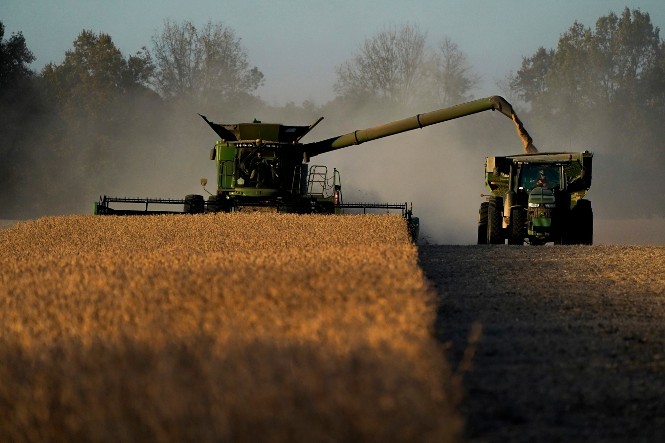 Sojabönor skördas på en gård i Kentucky. Bönorna är en av de produkter som EU nu vill införa tullar på från USA. Arkivfoto. Foto: Joshua A Bickel/AP/TT