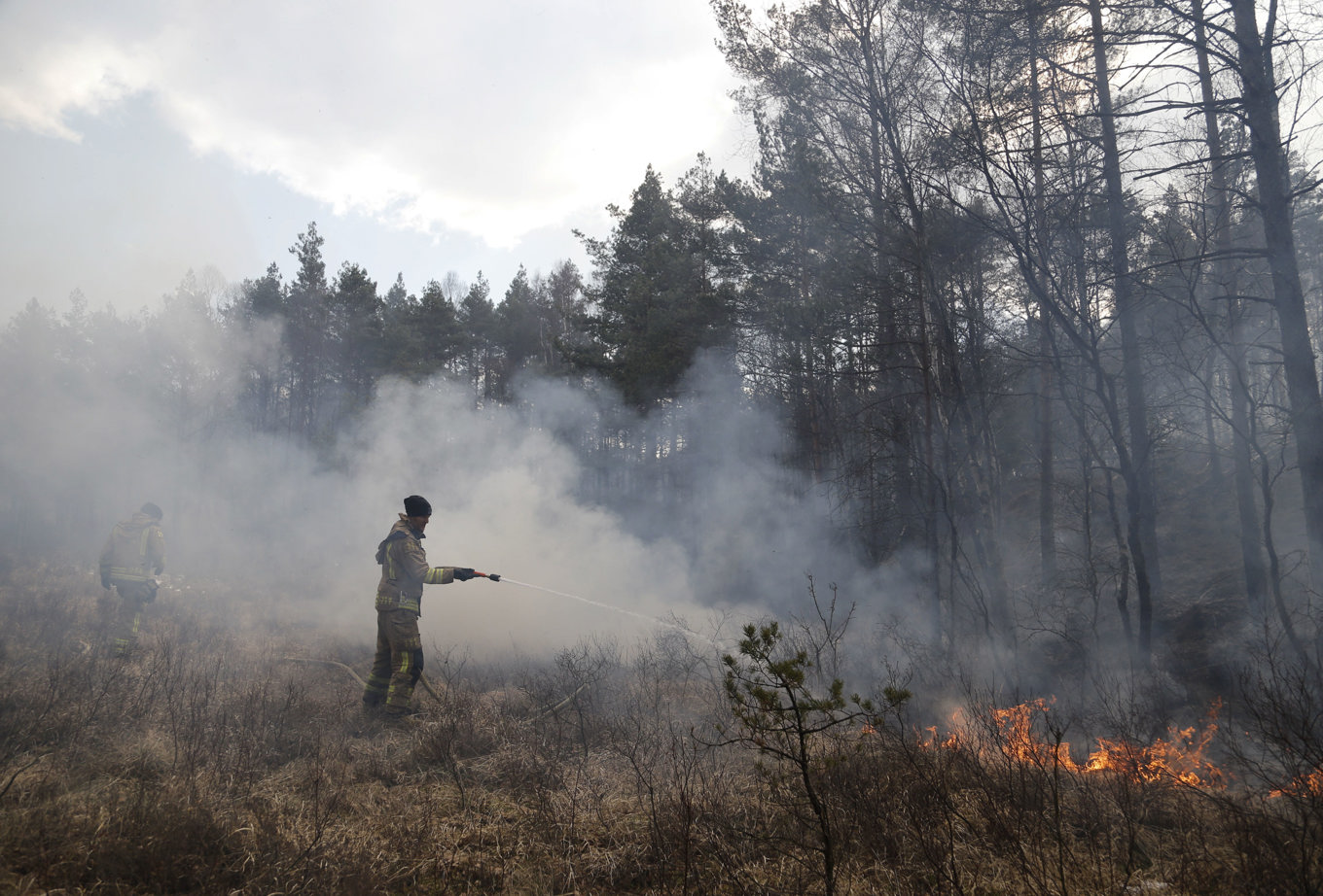 Gräsbrandsäsongen är här. Arkivbild. Foto: Adam Ihse/ TT