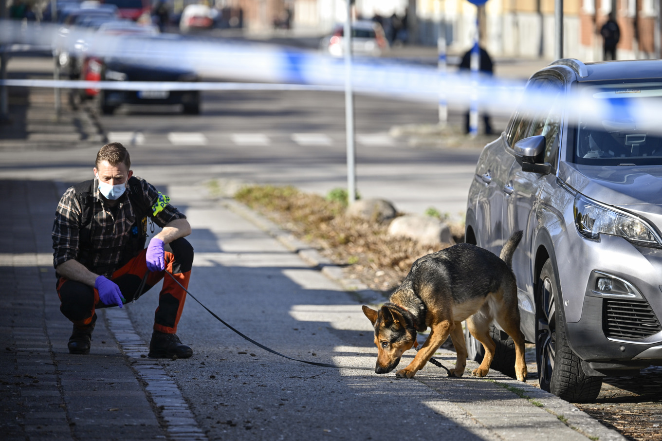 Polis med hund söker spår i Eslöv sedan två män skjutits. En av de skjutna har livshotande och den andra allvarliga skador. Foto: Johan Nilsson/TT